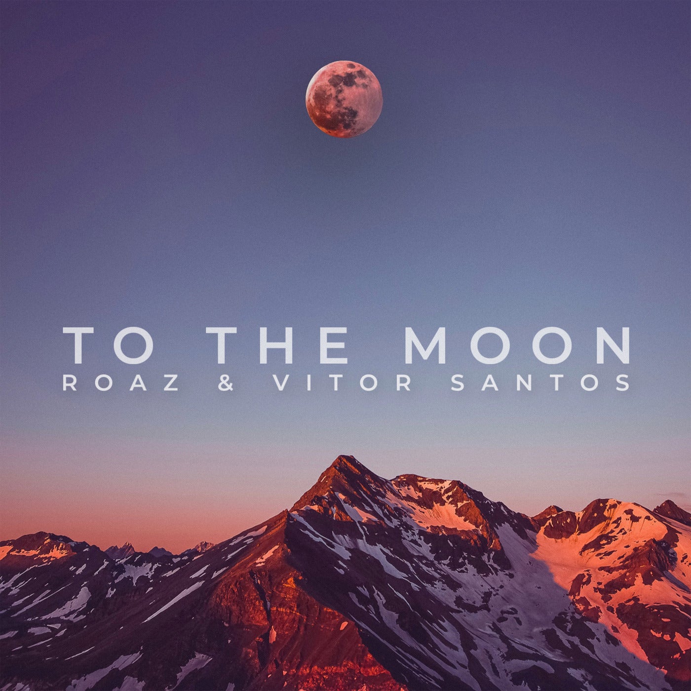 To the Moon - (VIP MIX)