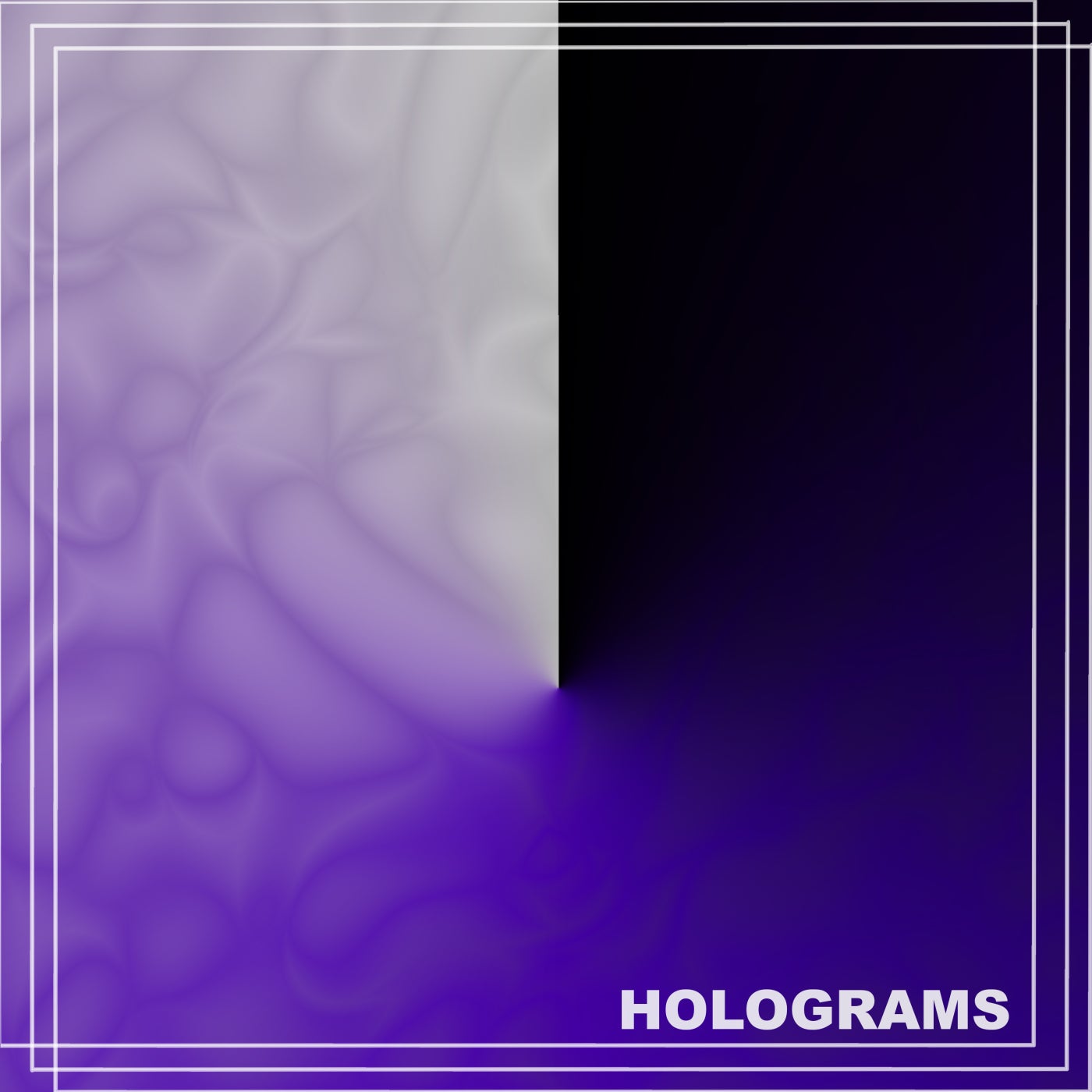 Holograms