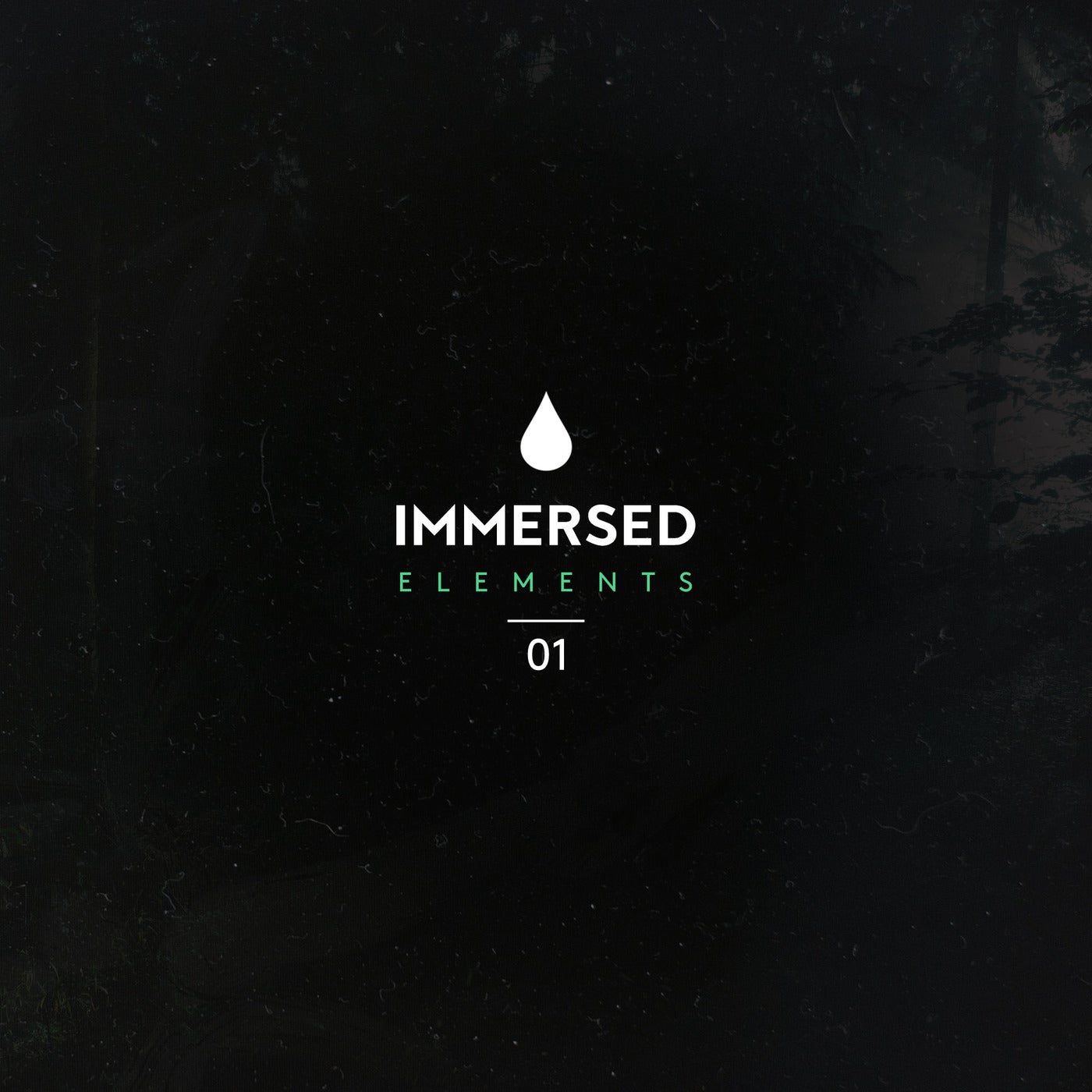 Immersed Elements 01