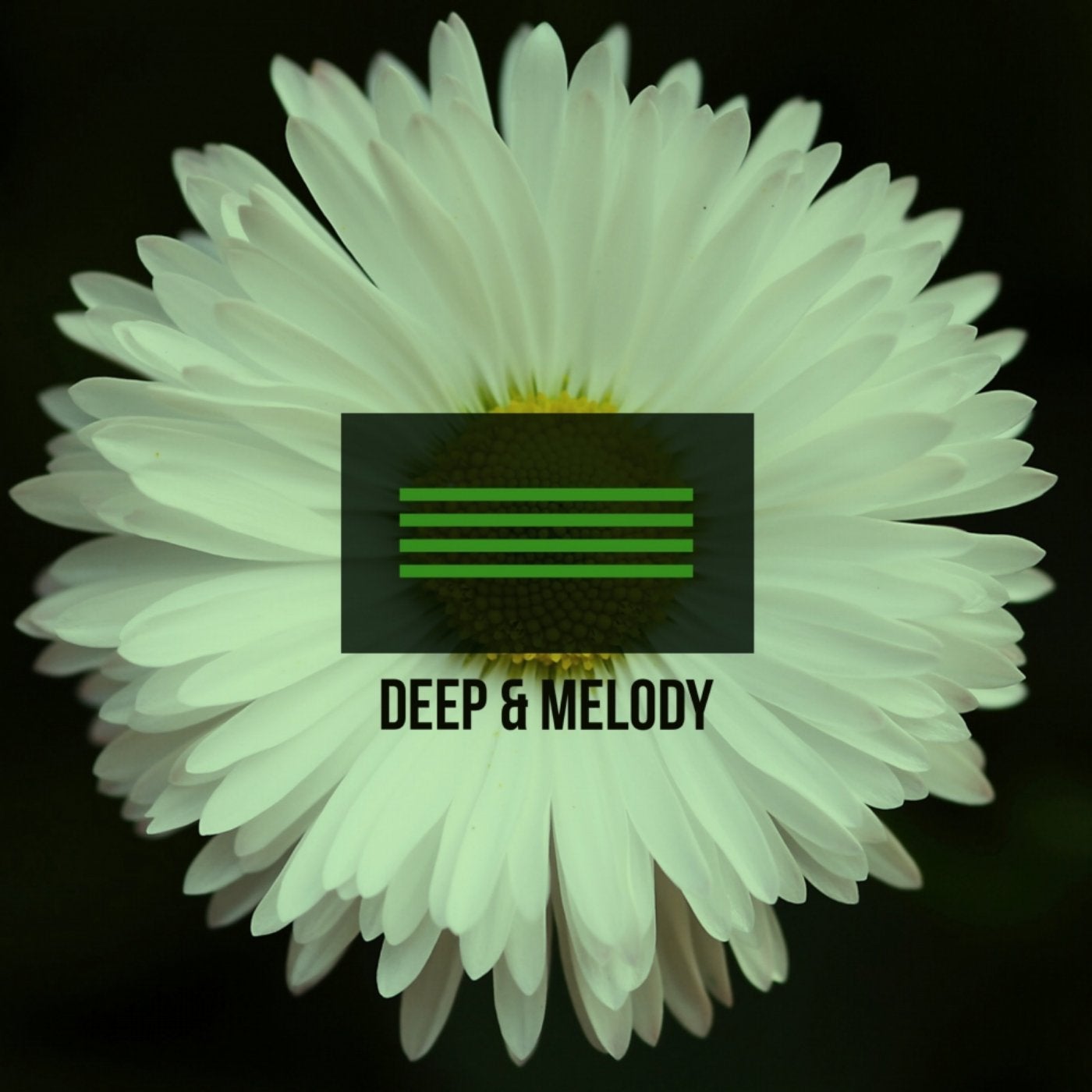 Deep & Melody 7