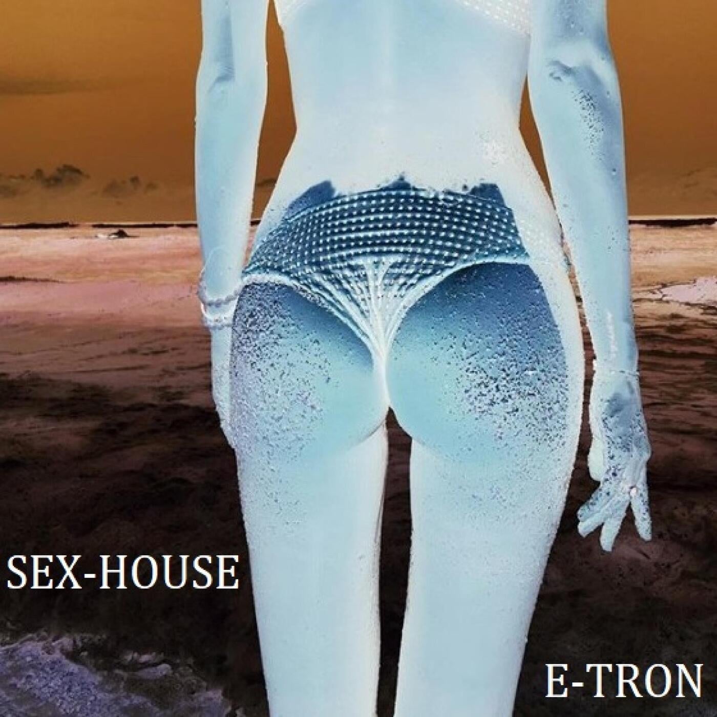 E-TRON - SEX-HOUSE [DistroKid] | Music & Downloads on Beatport