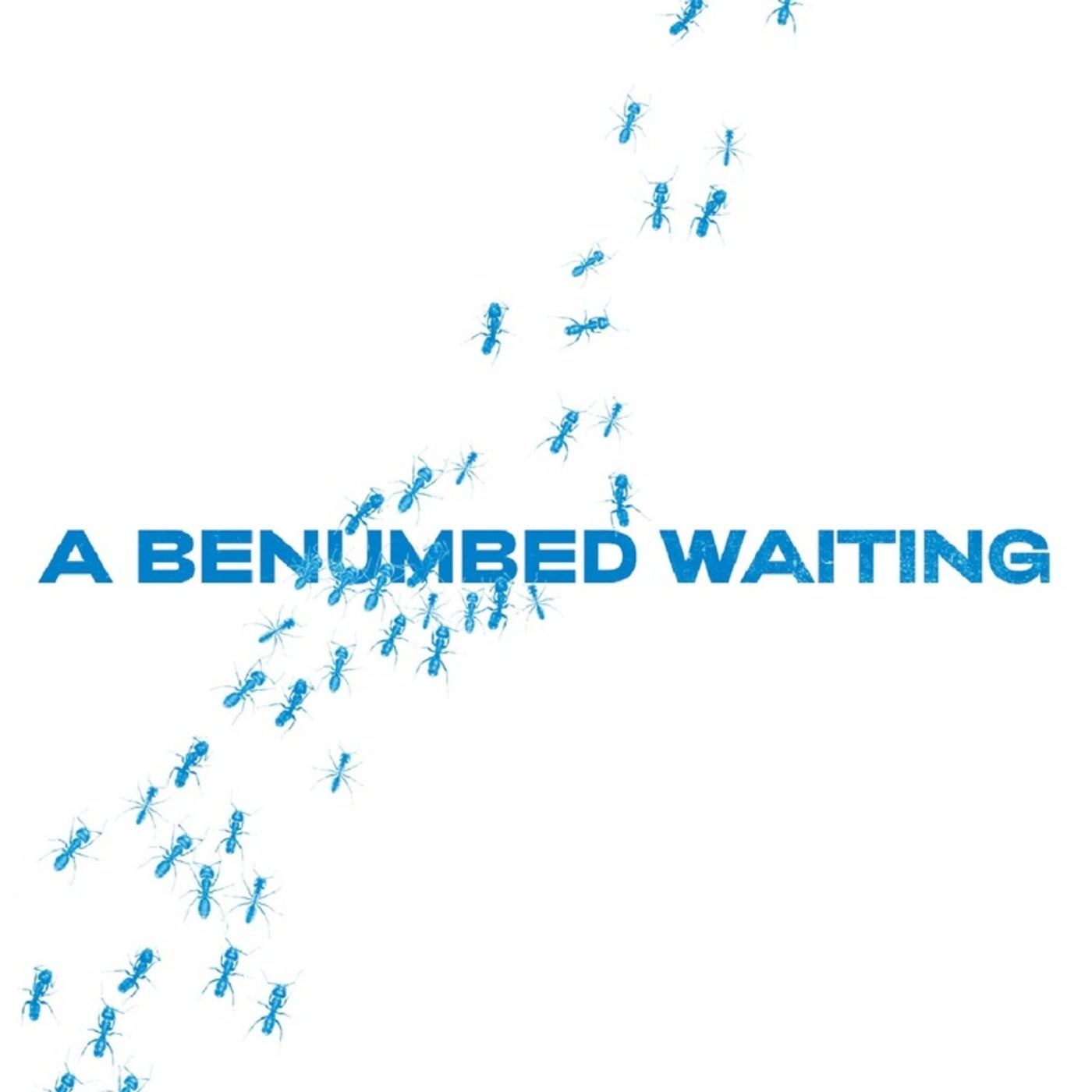 A Benumbed Waiting