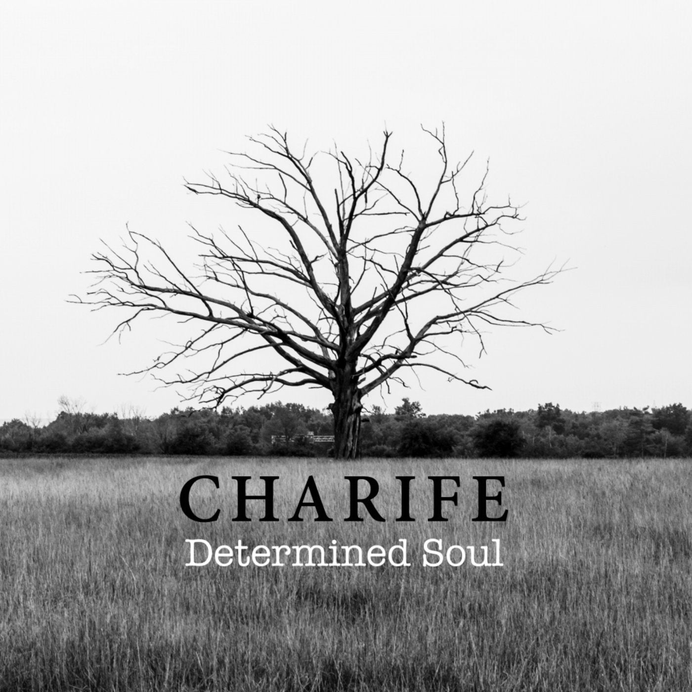 Determined Soul