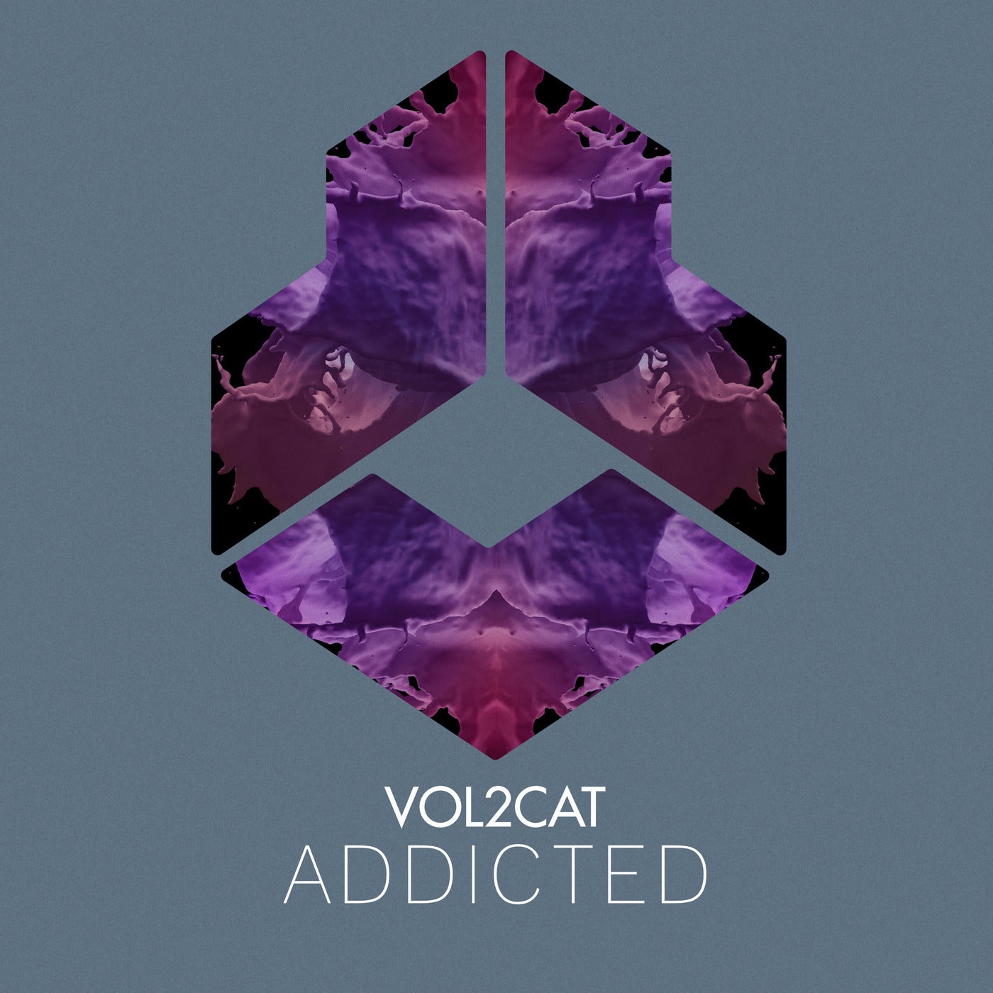 Addicted - Radio Edit