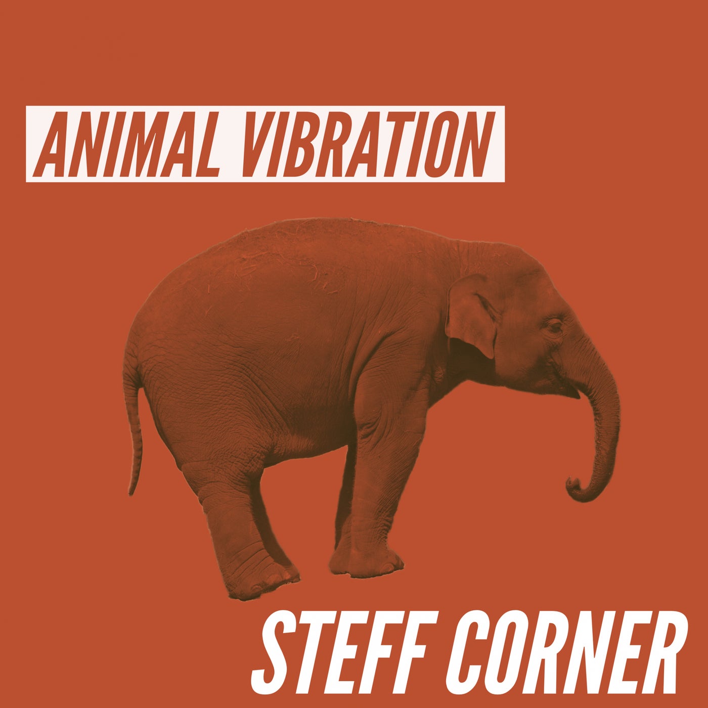 Animal Vibration