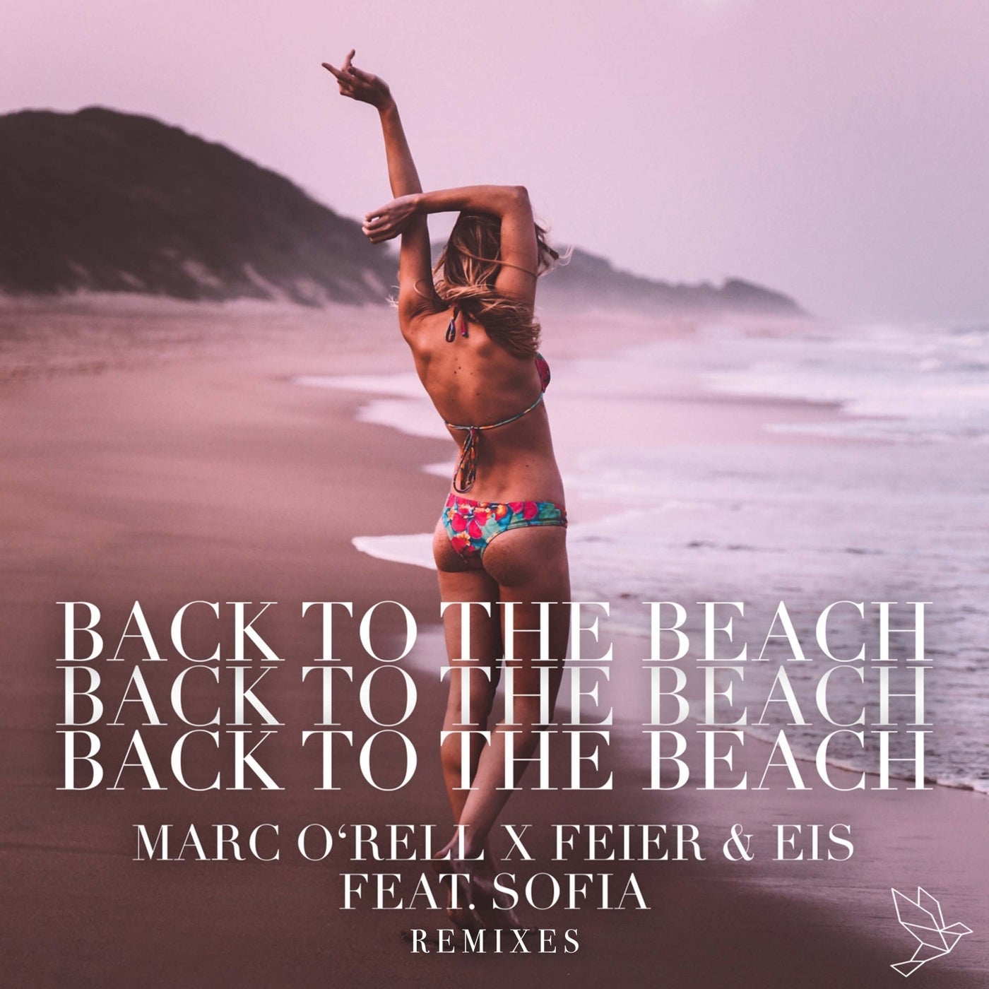 Back to the Beach (Remixes)