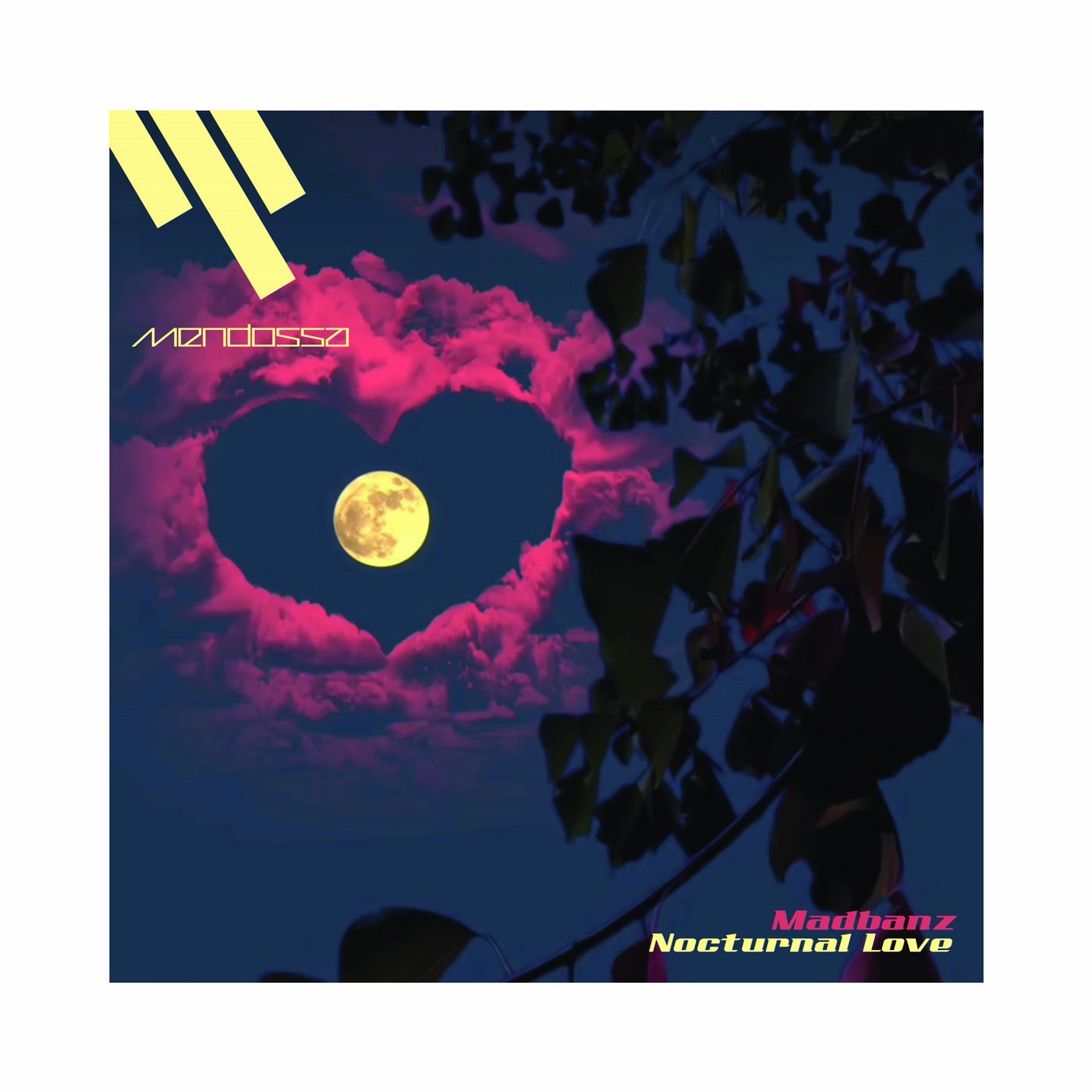 Cover art for Nocturnal Love