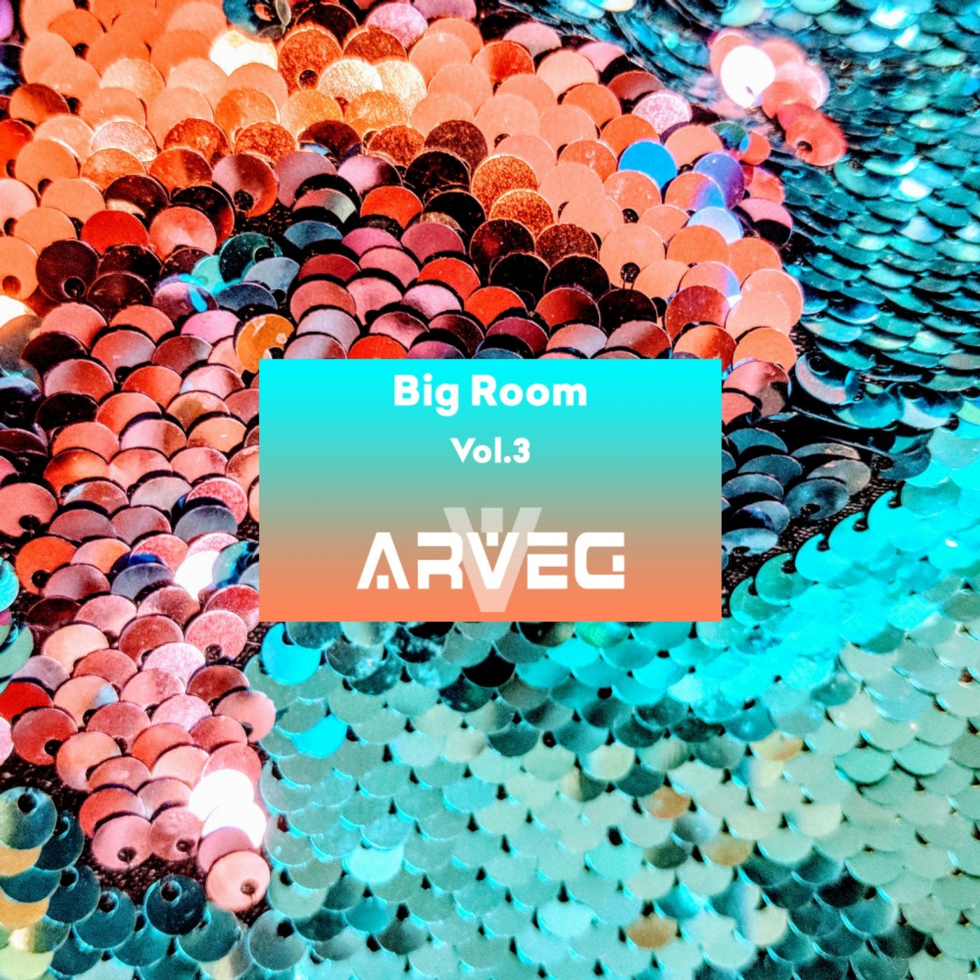 ARVEG Big Room, Vol.3