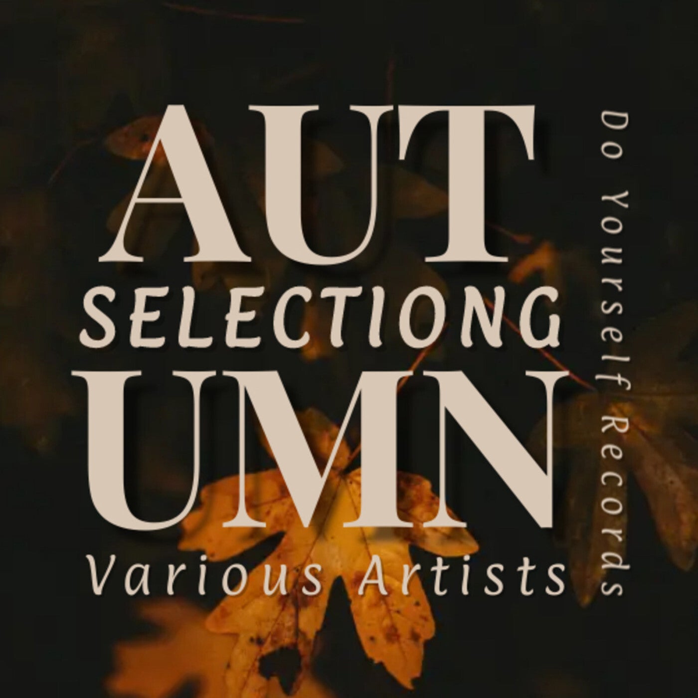 AUTUMN SELECTIONG 2023