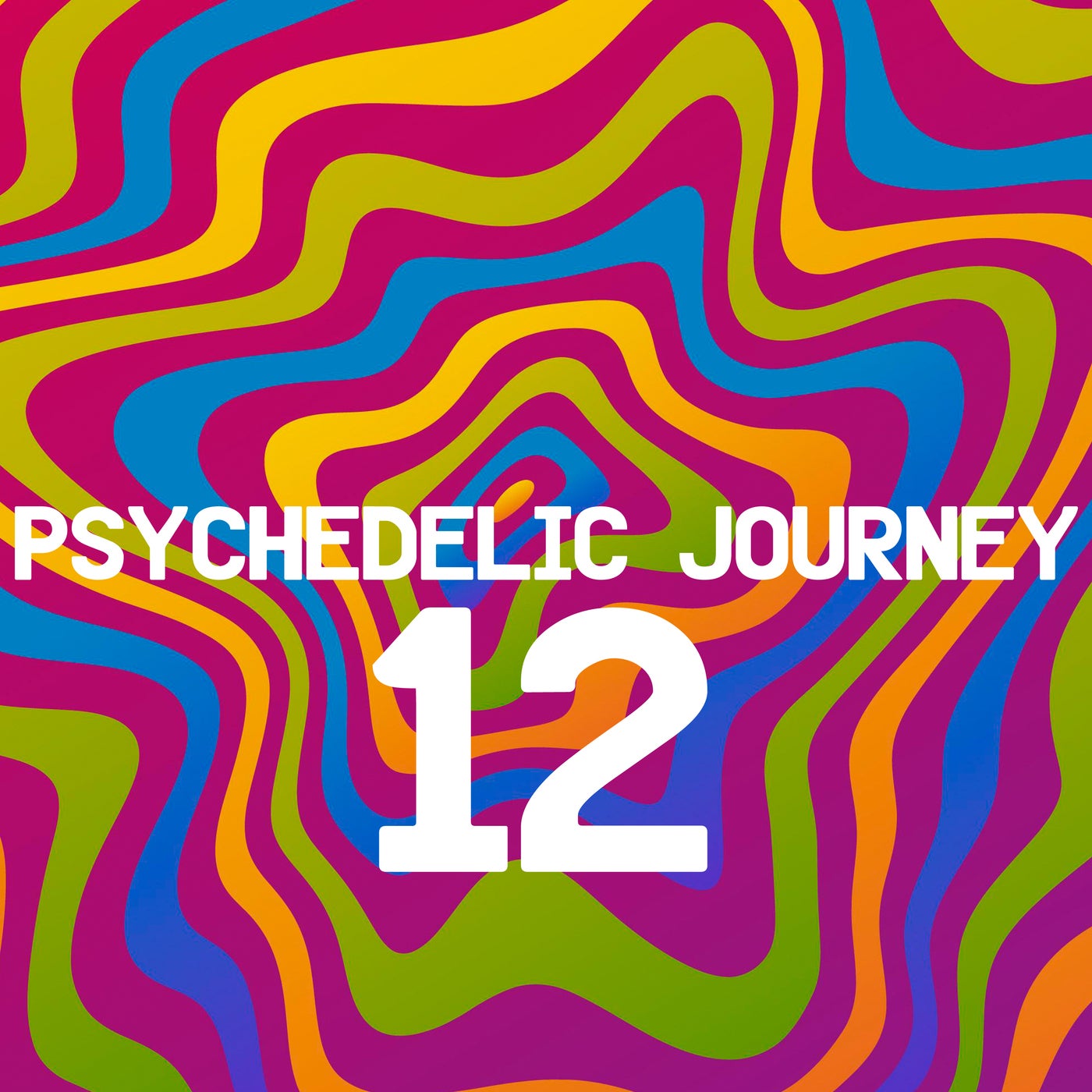 VA – Psychedelic Journey 12 FP170