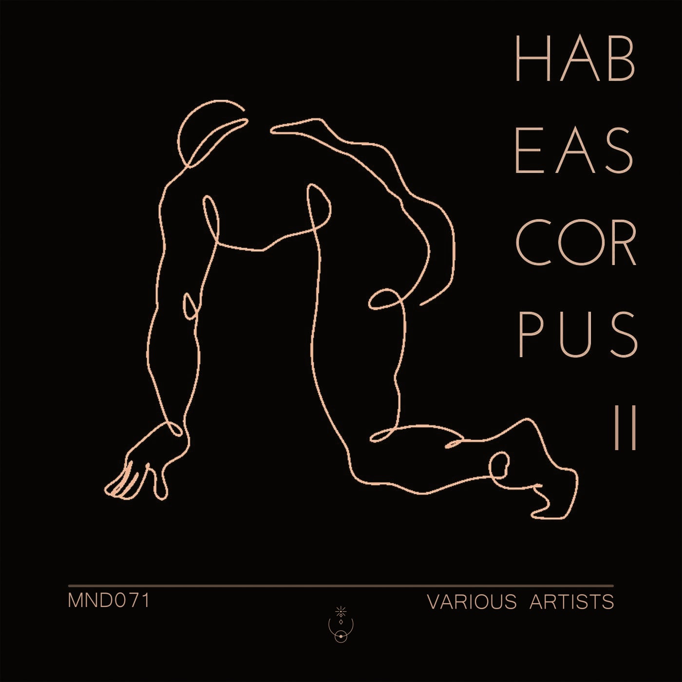 Habeas Corpus 2