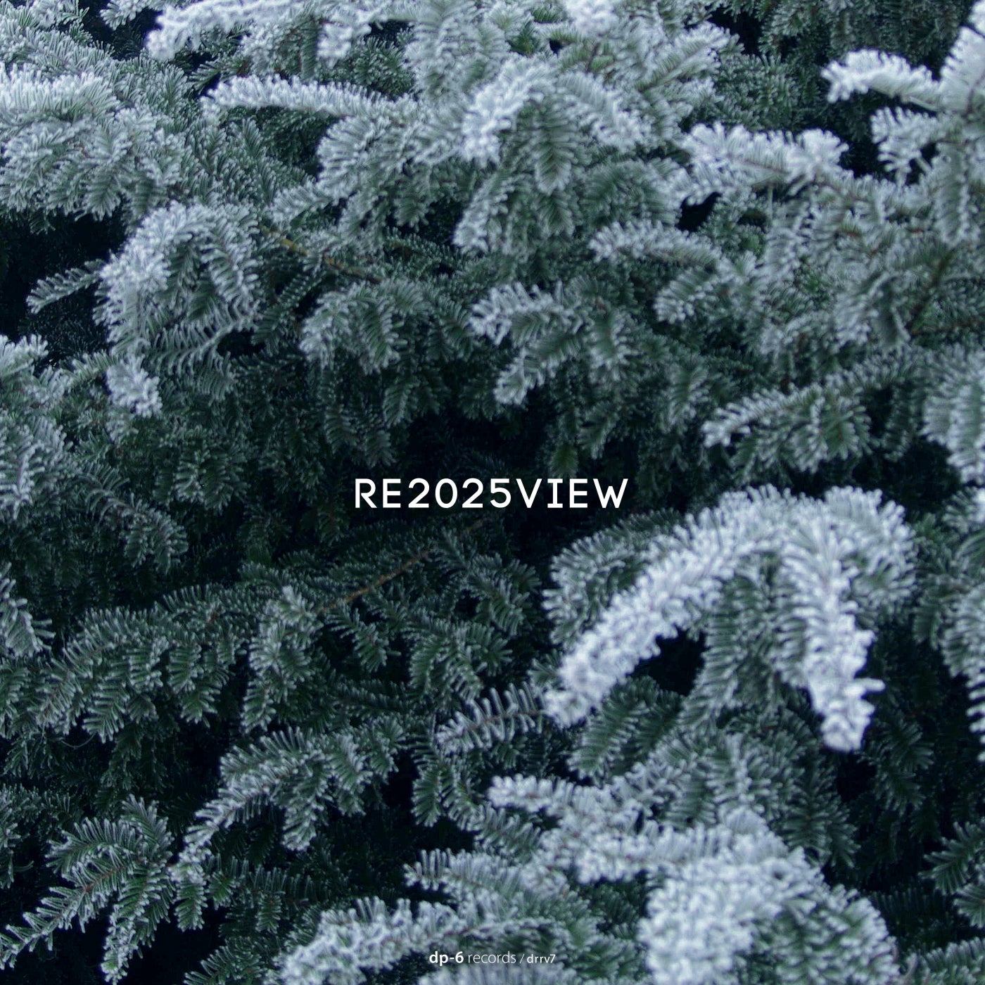 Re2025view