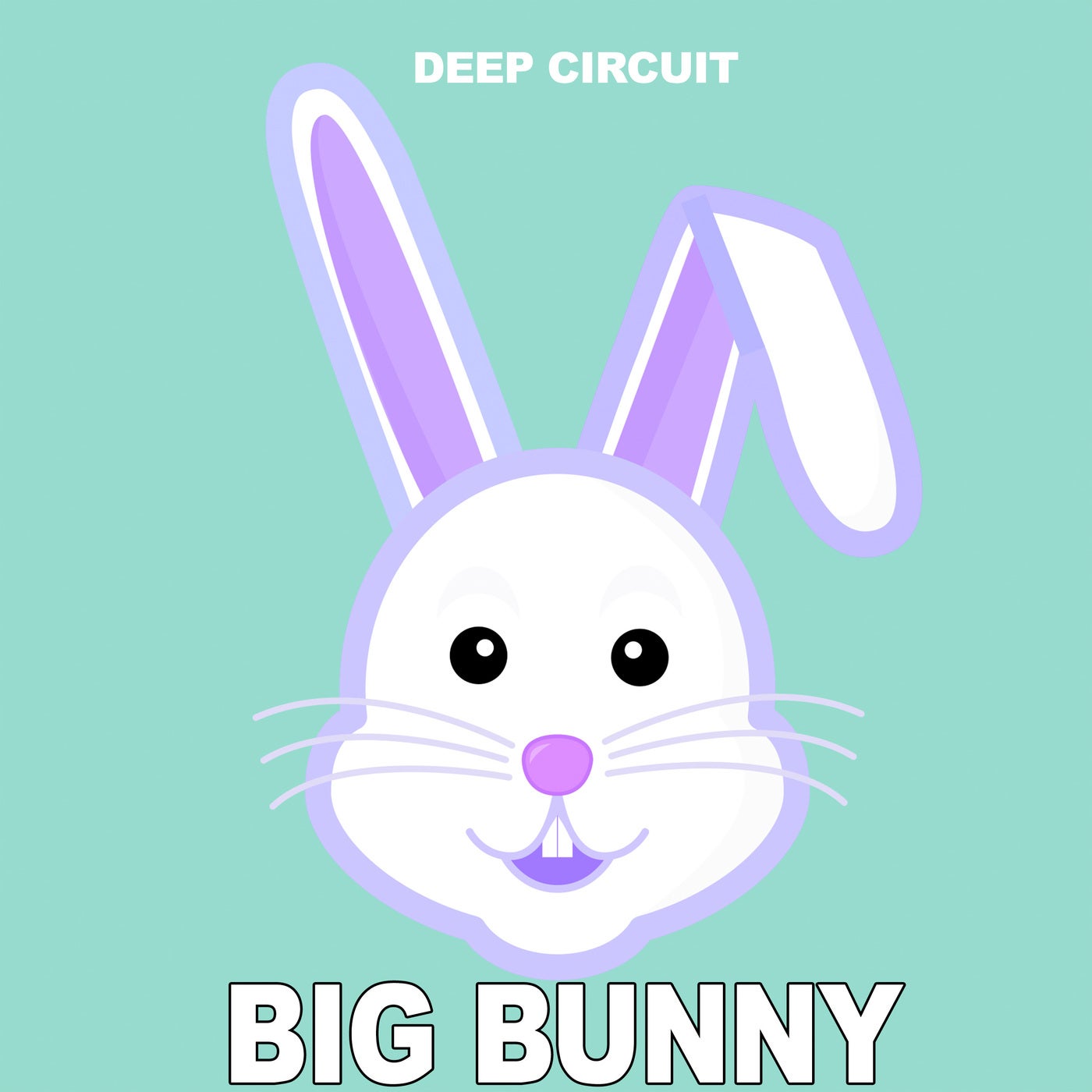 Deep Circuit