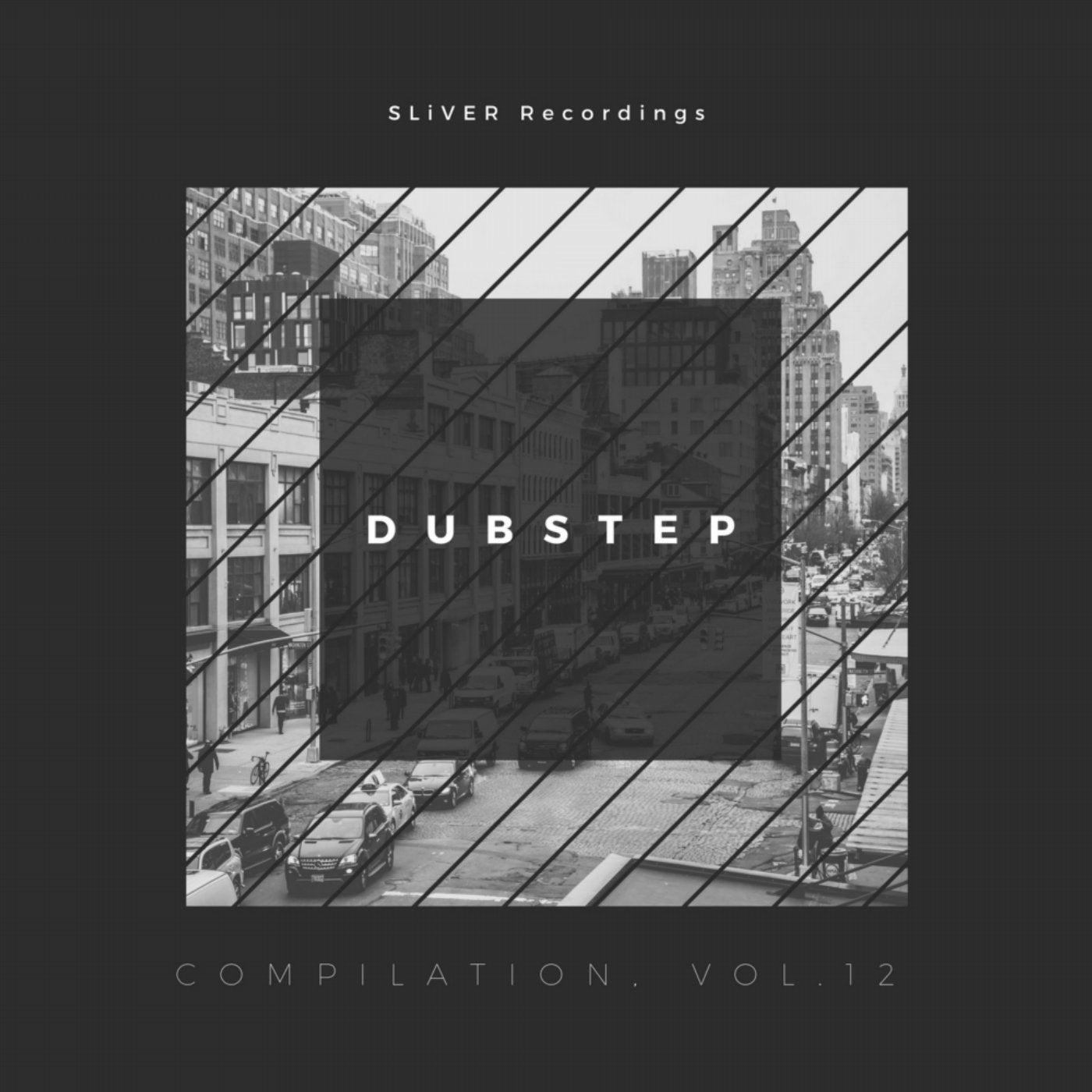 Sliver Recordings: Dubstep, Compilation, Vol. 12