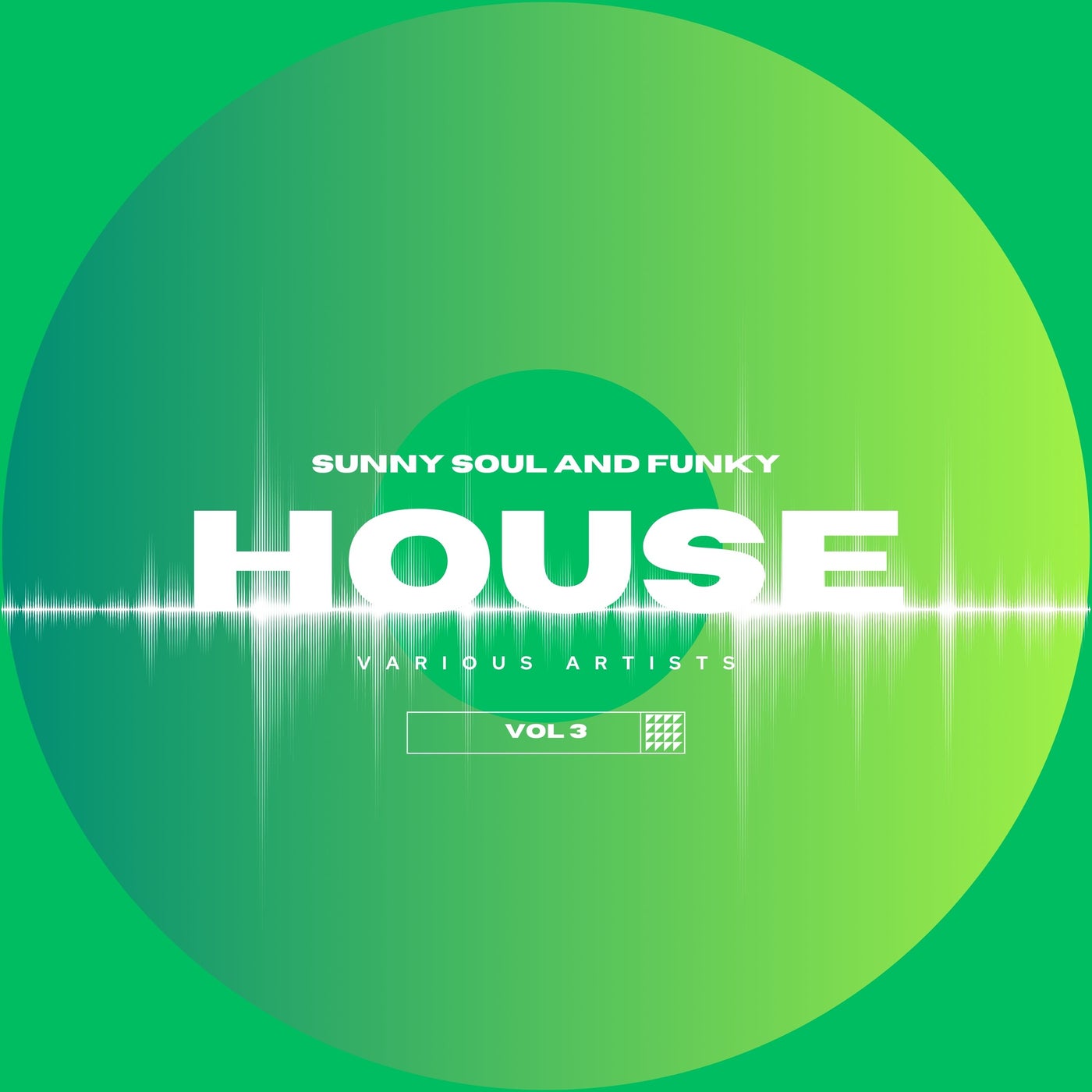 Sunny Soul And Funky House, Vol. 3