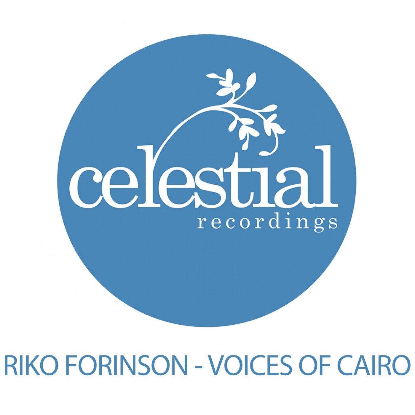 Voices of Cairo