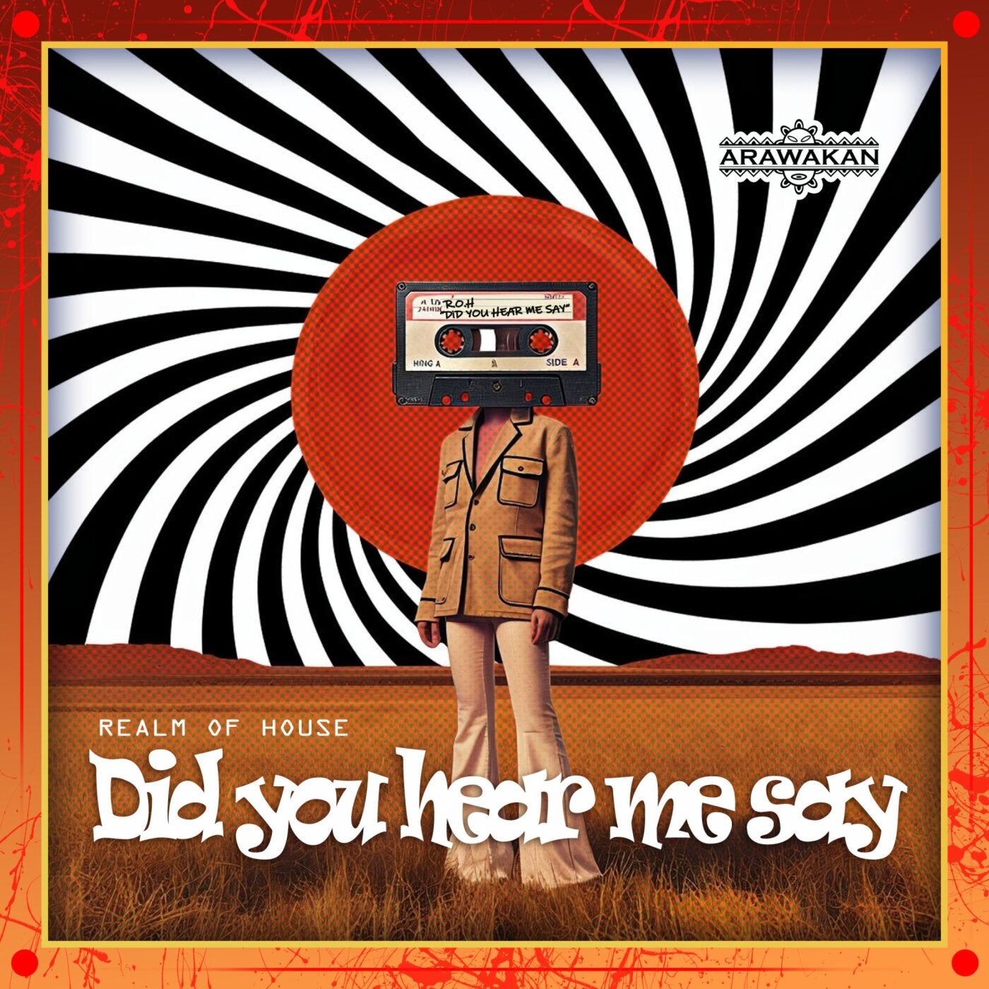 Did You Hear Me Say (Arawakan Jackin Mix)