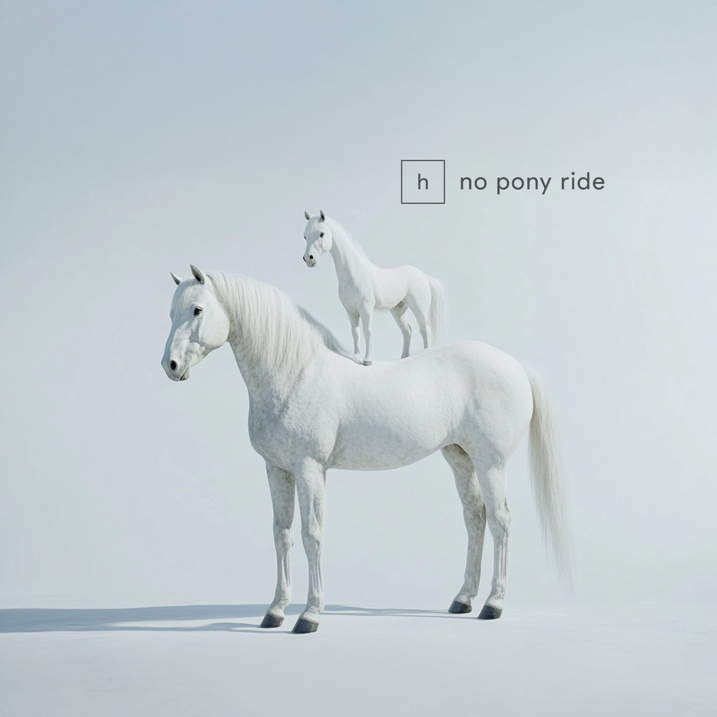 No Pony Ride