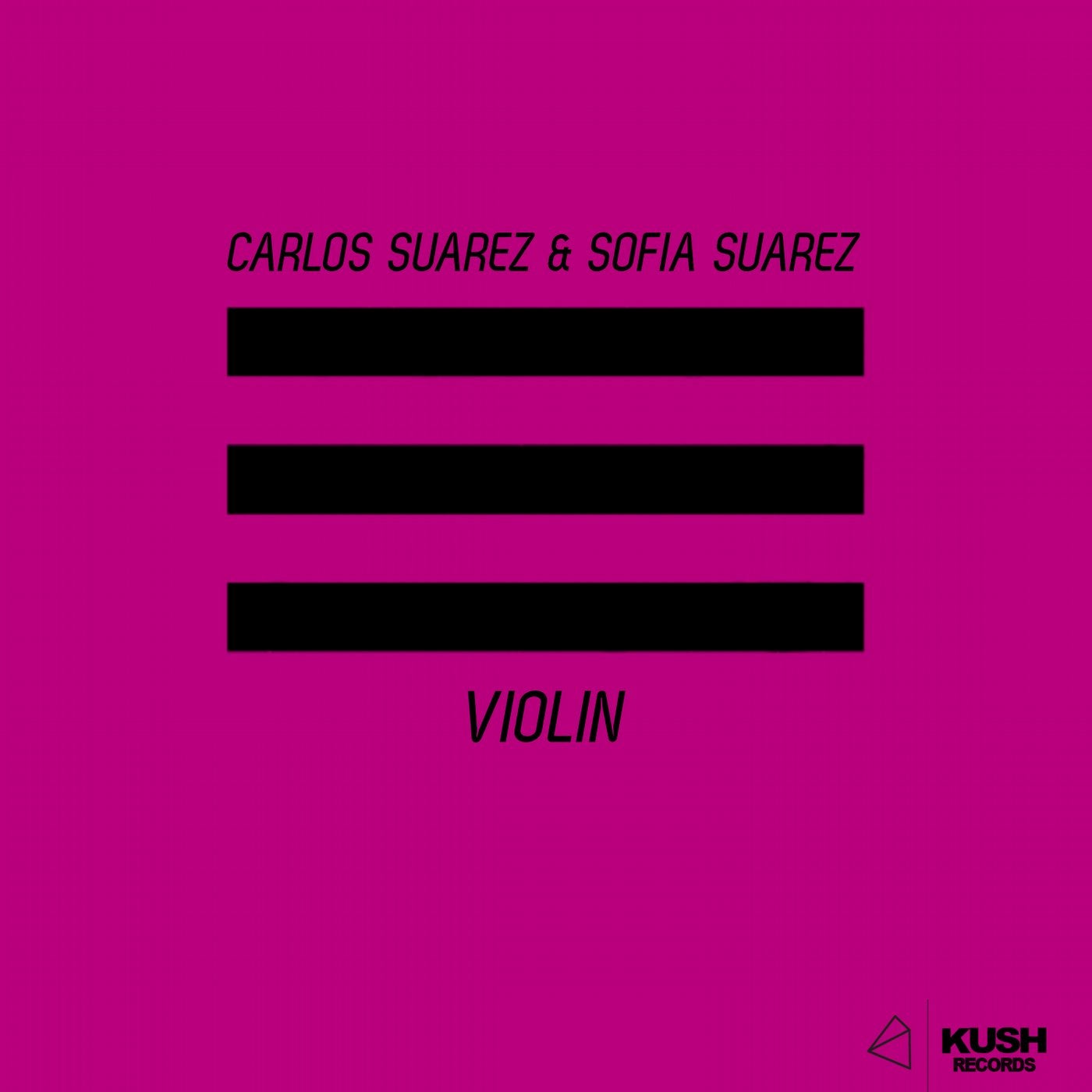 Violin