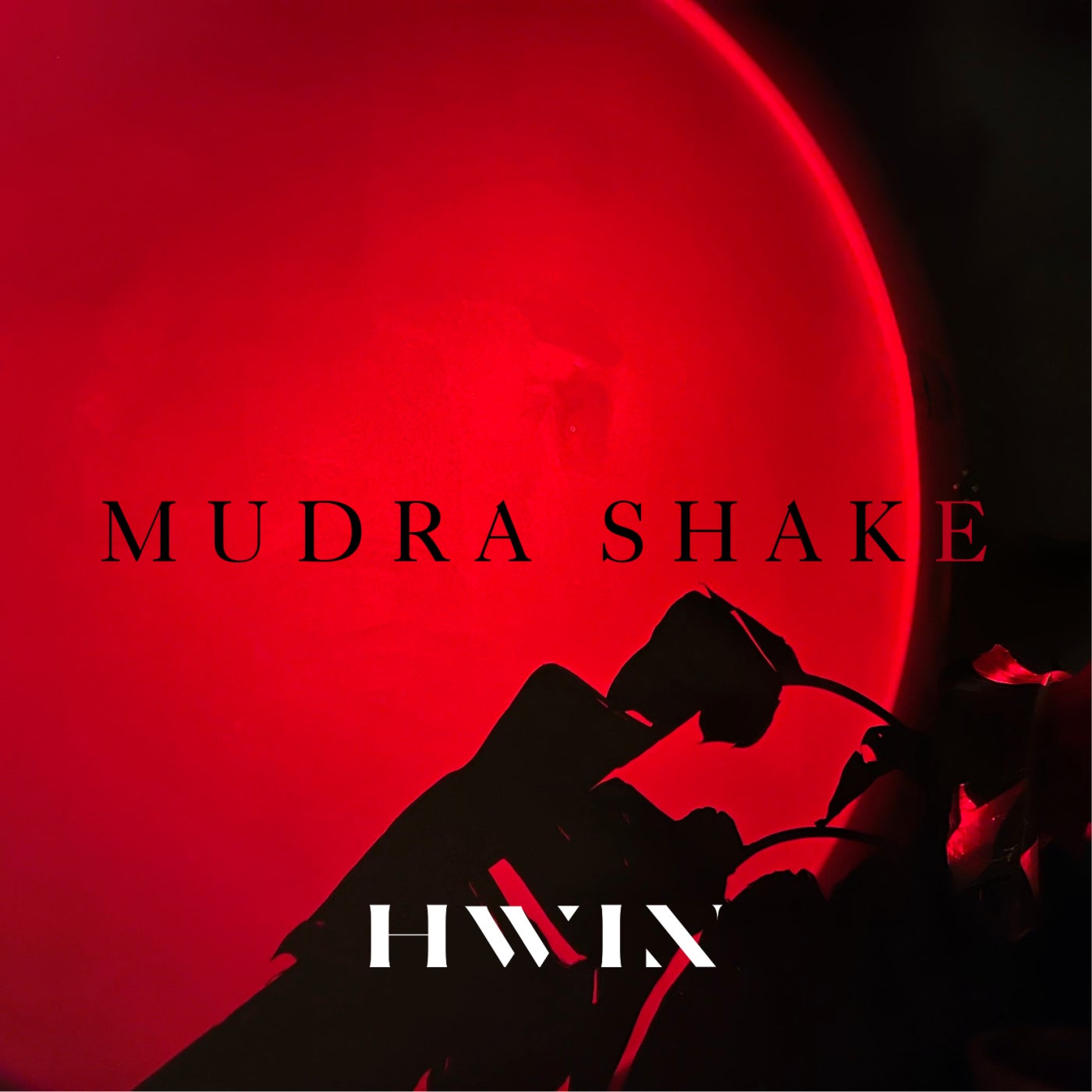 Mudra Shake