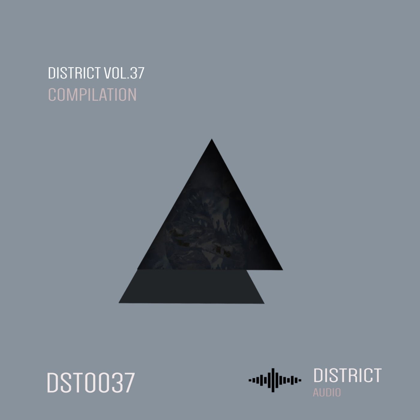 District 37