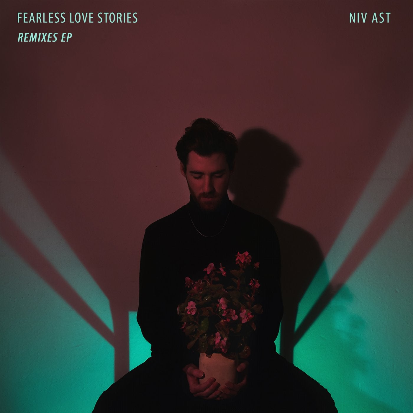 Fearless Love Stories (Remixes)