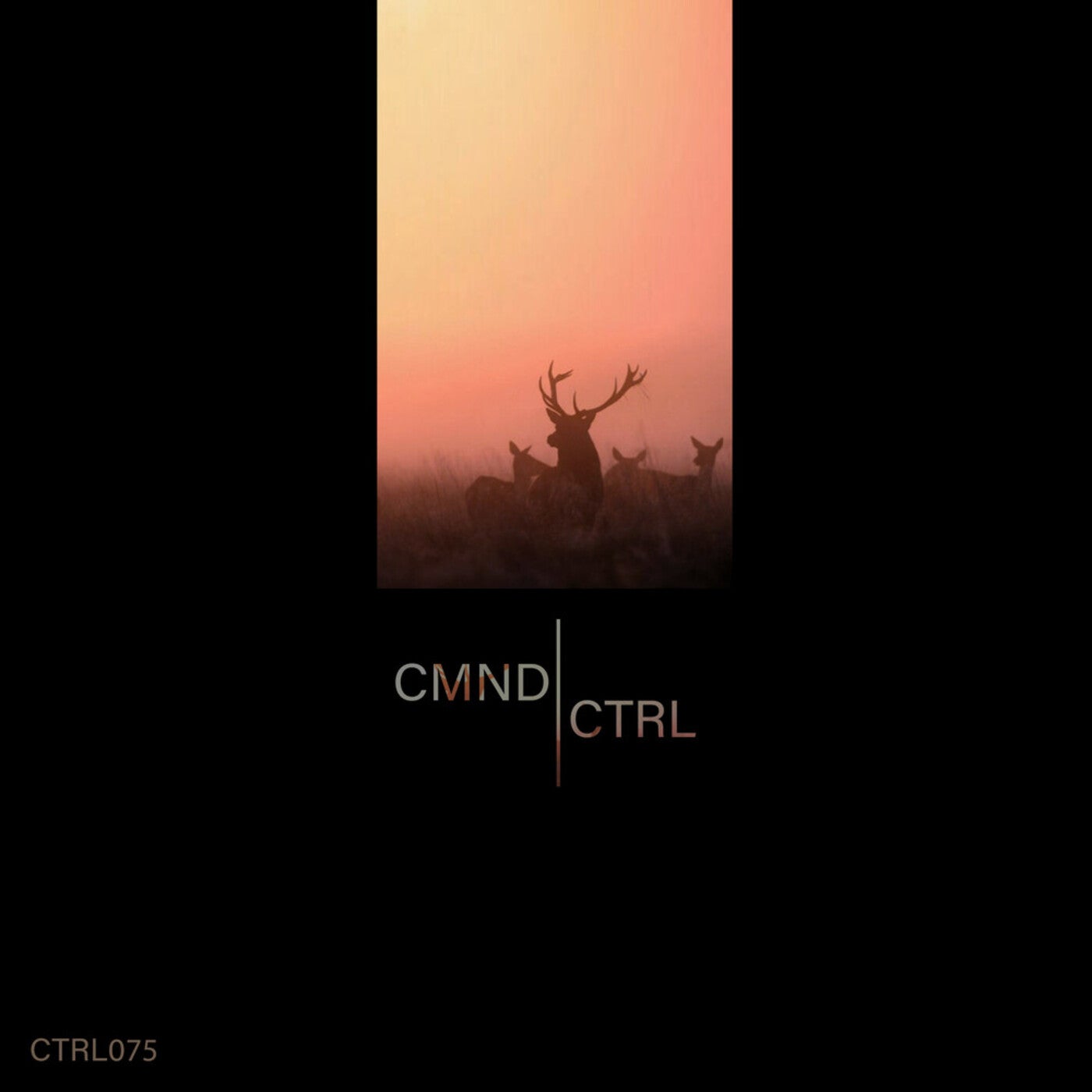 CTRL075