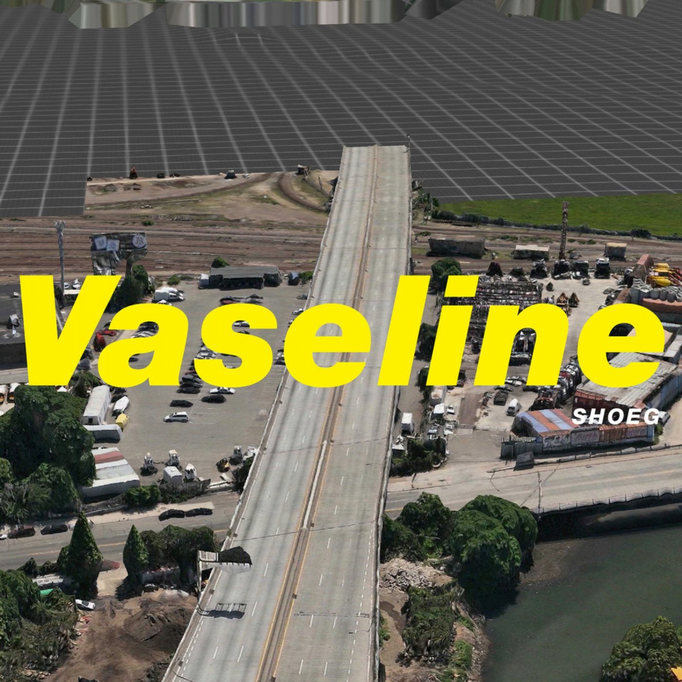 Vaseline