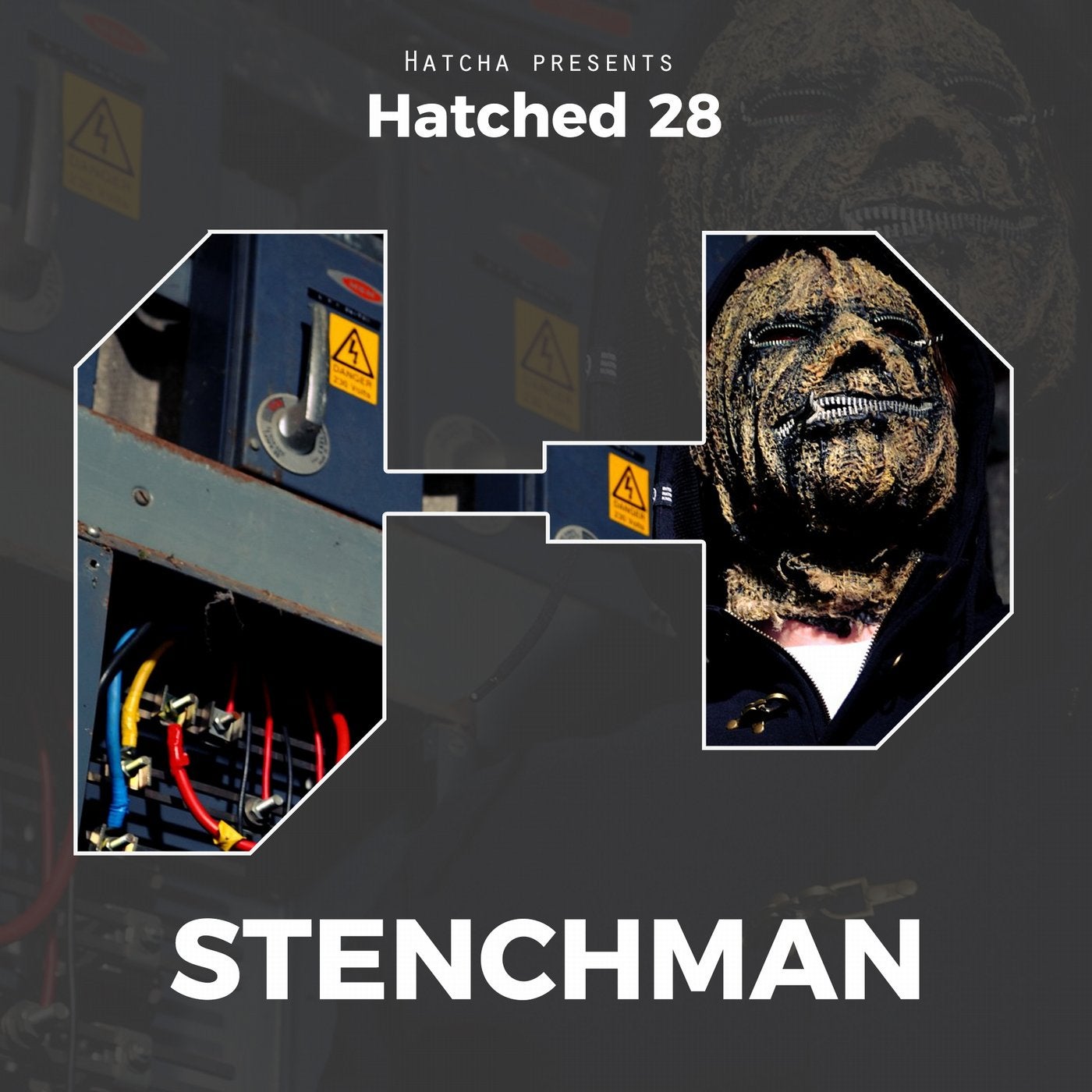 Hatched 28