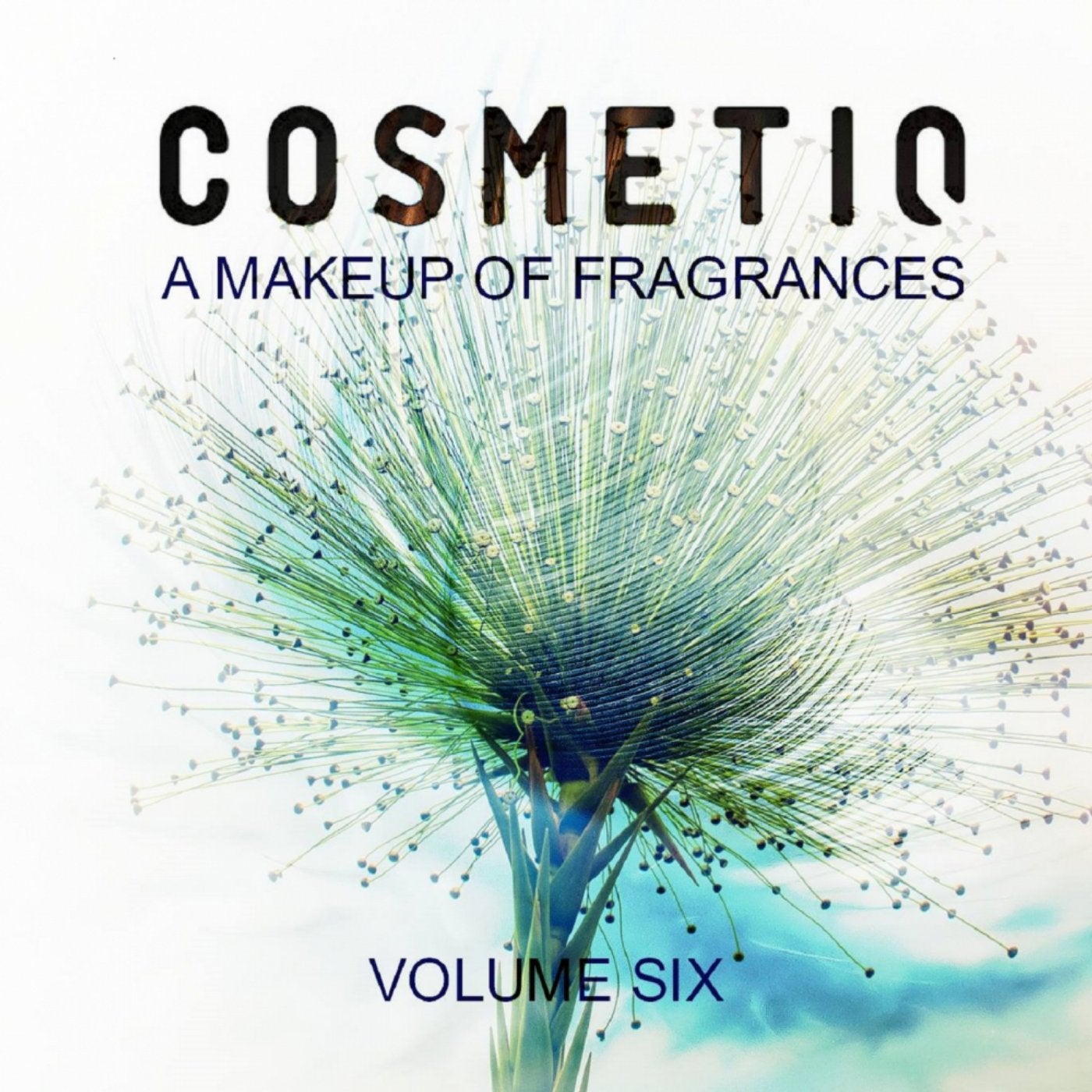 A Make Up Of Fragrances, Vol. 6