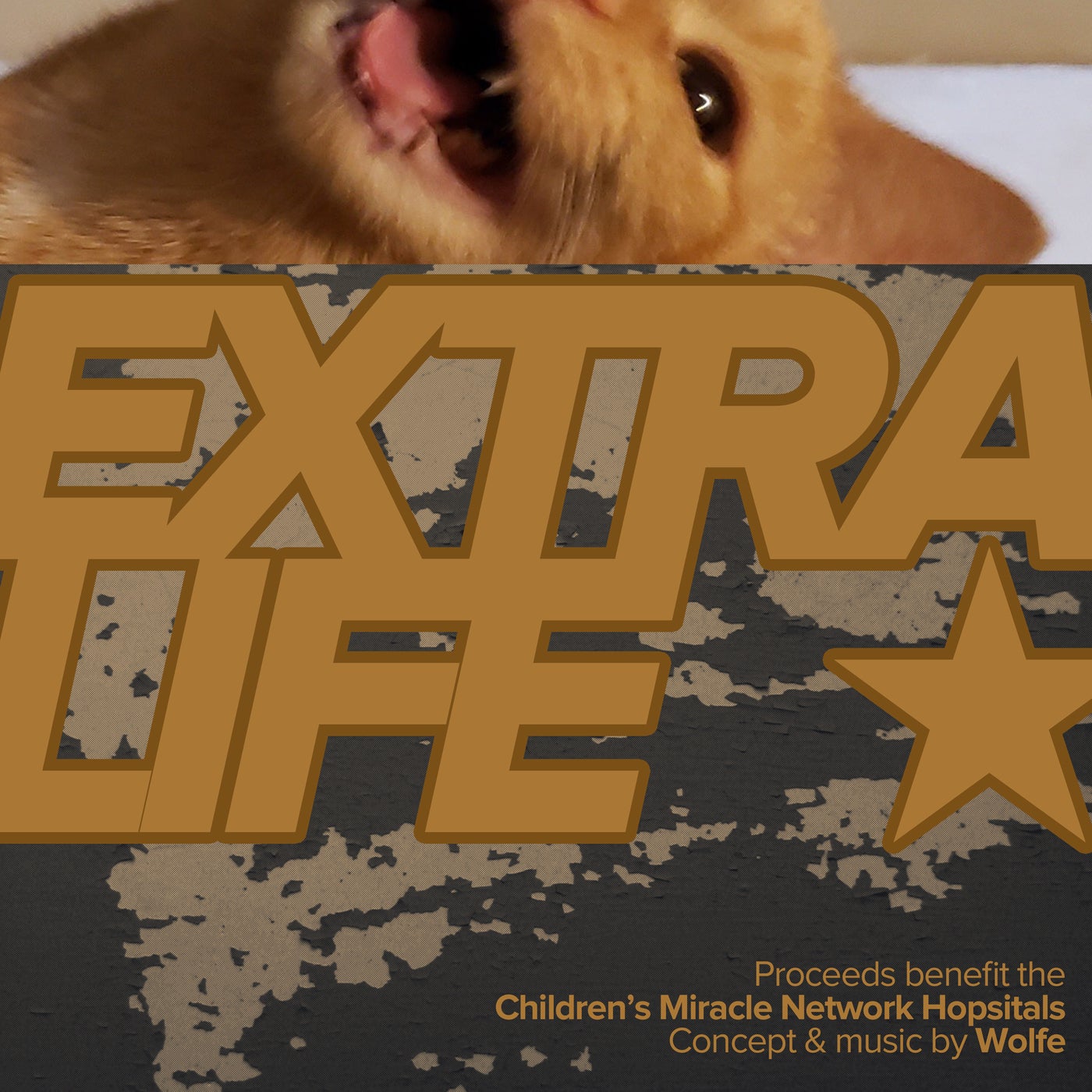 Extra Life