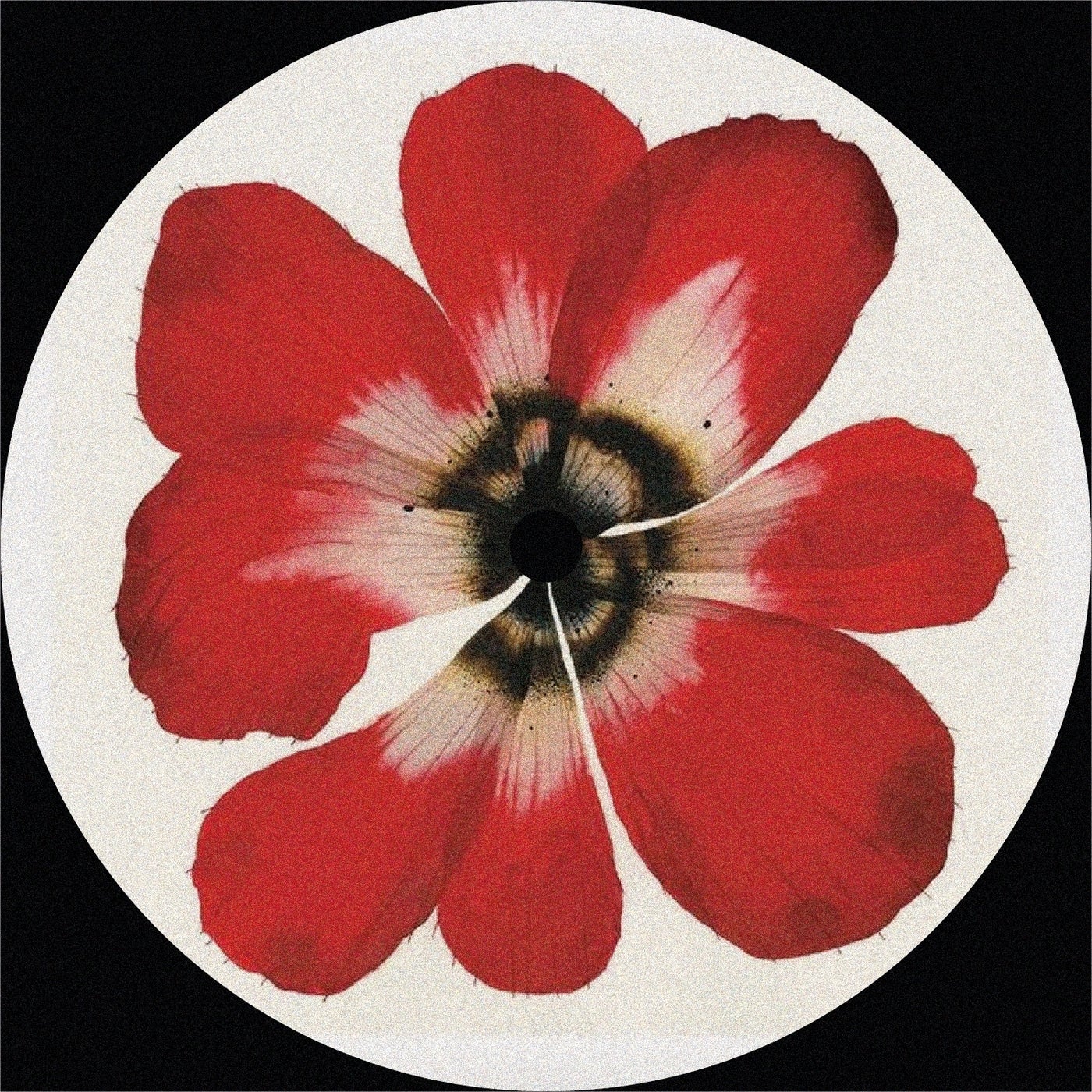 Love Is The Answer / Lost In Sound