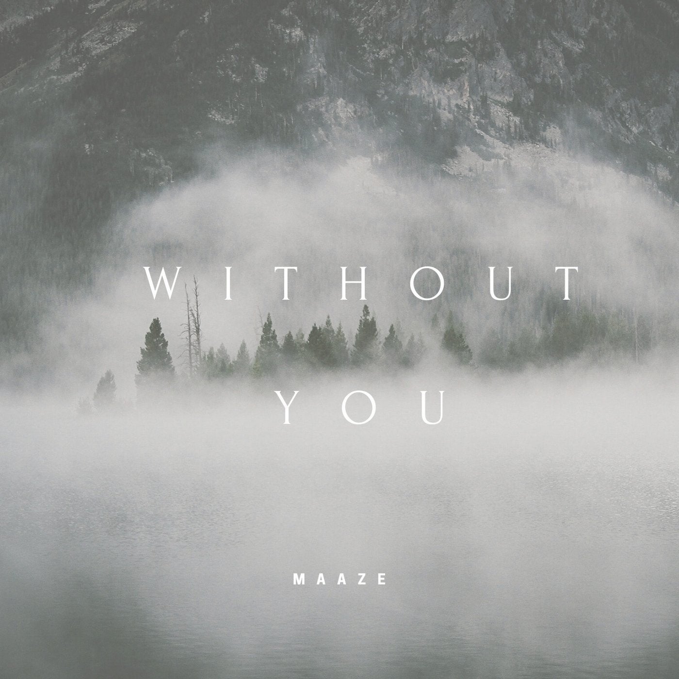 Without You