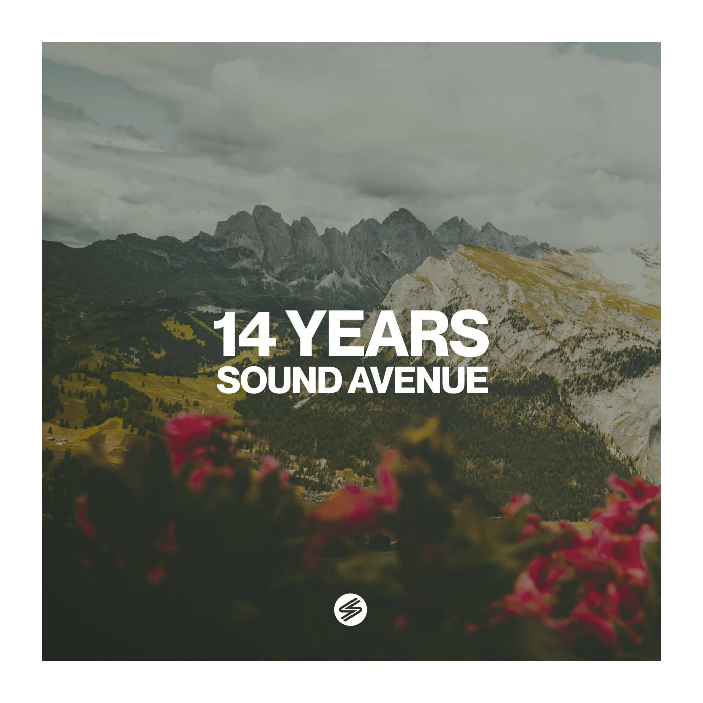 Cover art for 14 Years Sound Avenue