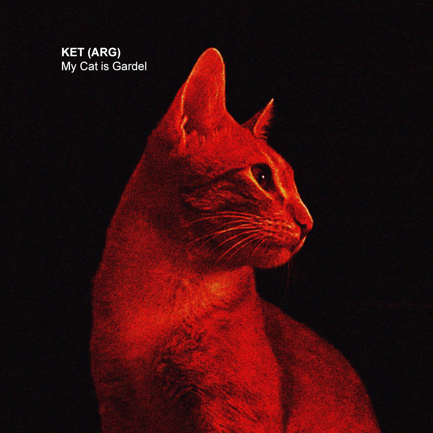 My Cat Is Gardel