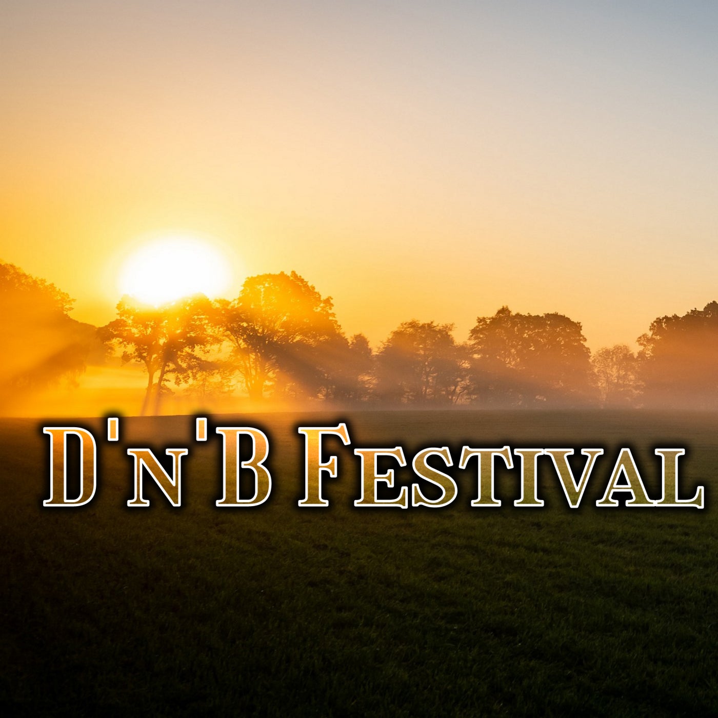 D'n'B Festival