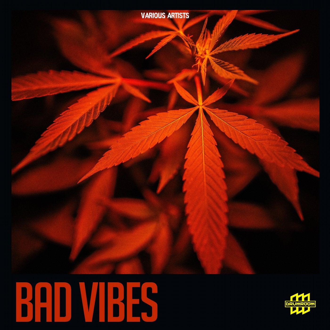 Bad Vibes