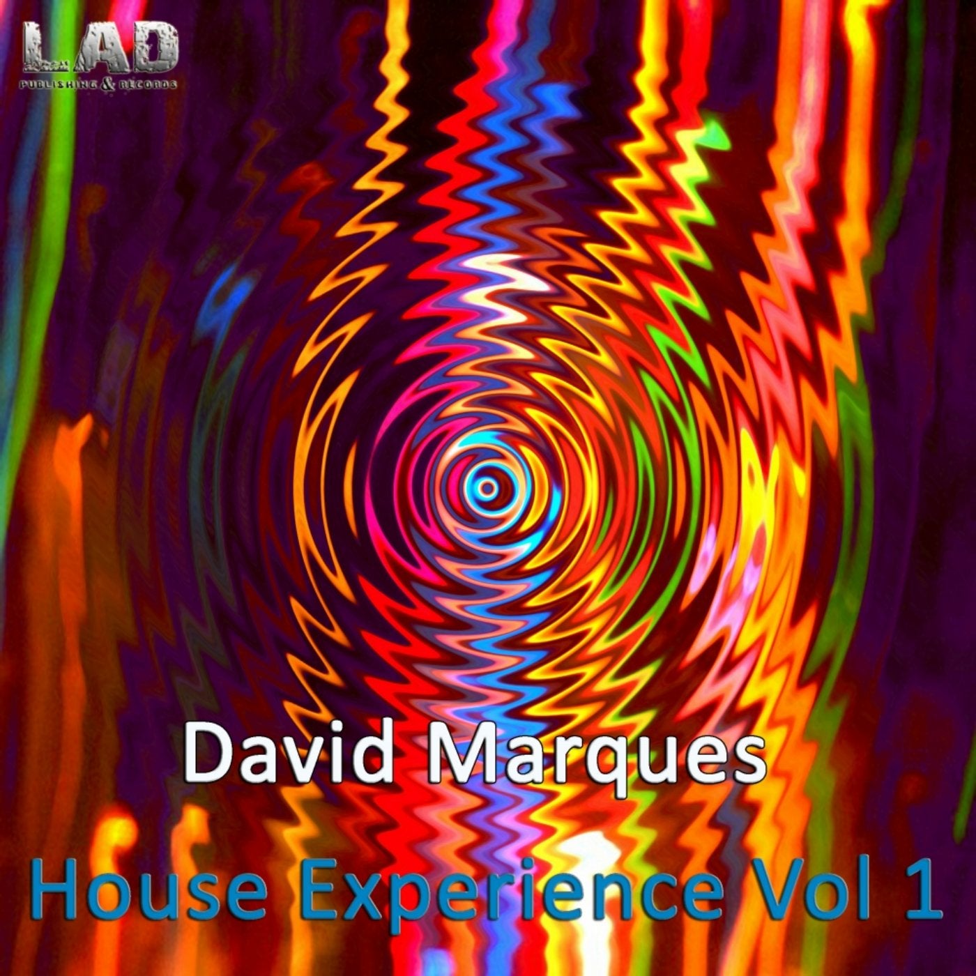 House Experience, Vol. 1