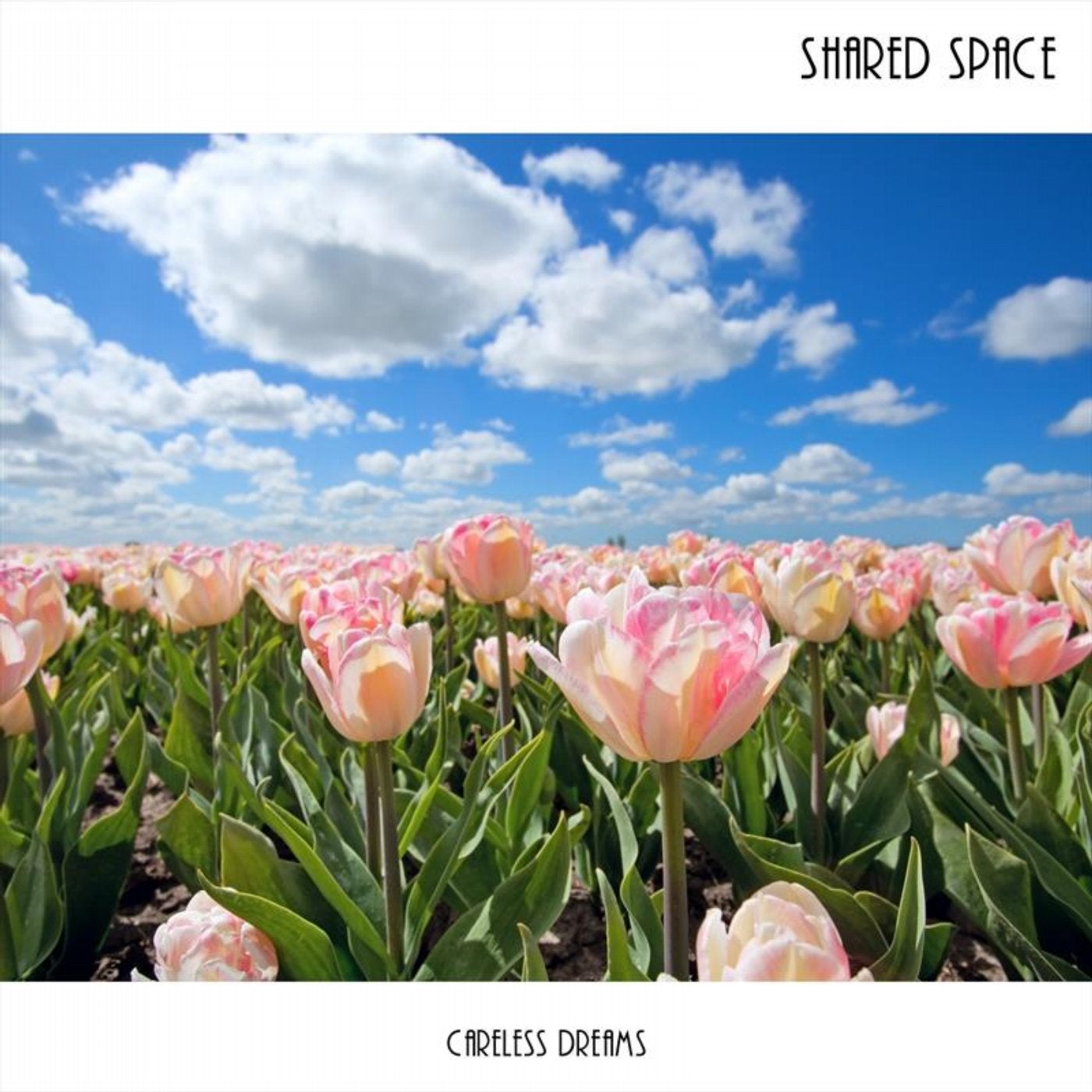 Shared Space