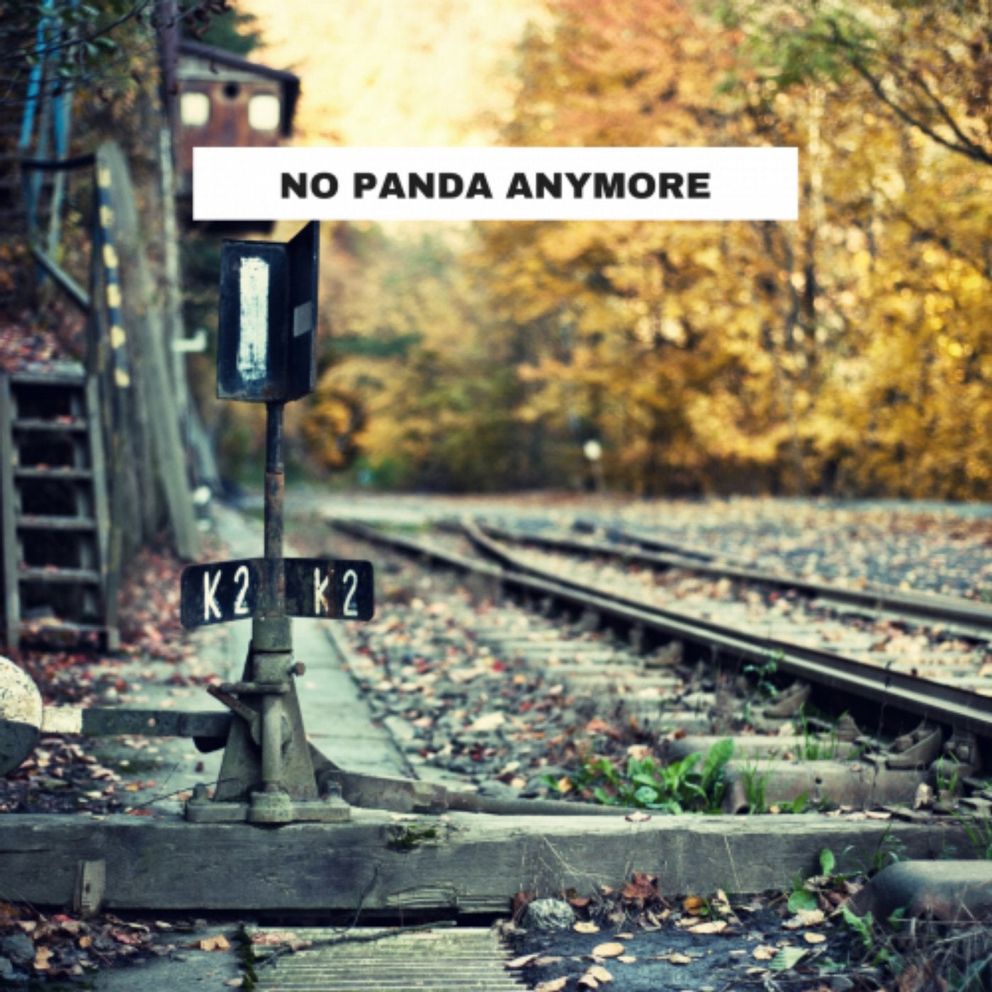 No Panda Anymore