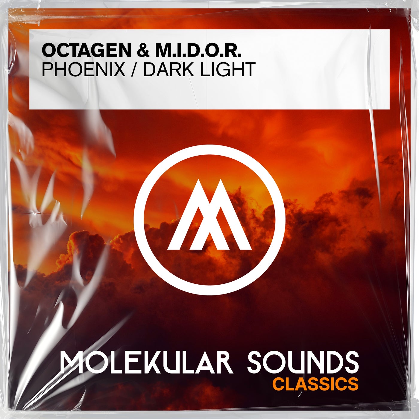 Phoenix / Dark Light