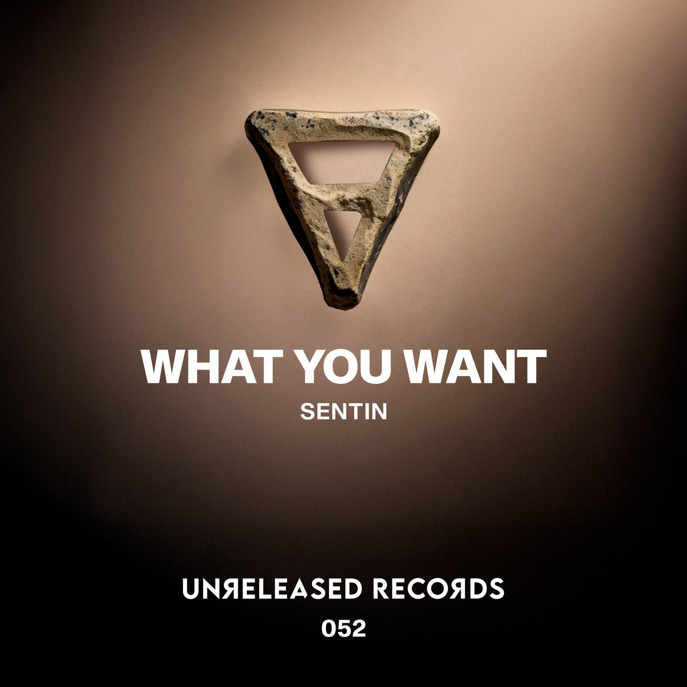 Sentin - What You Want (Extended Mix) [Unreleased Records] | Music ...