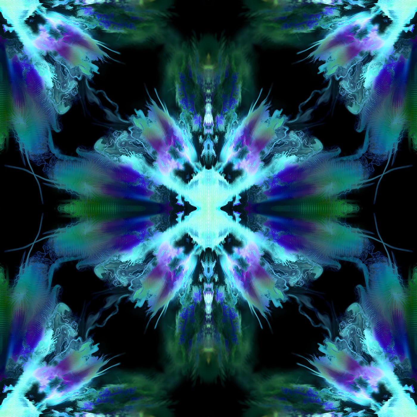 SOL / Reflection