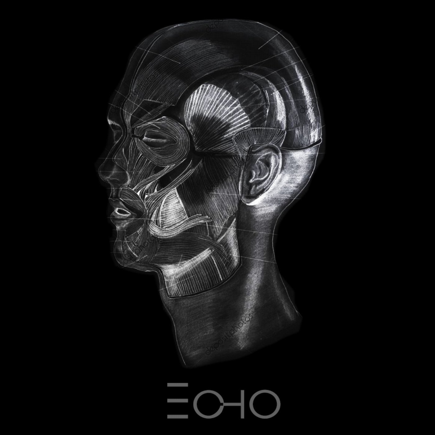 Echo