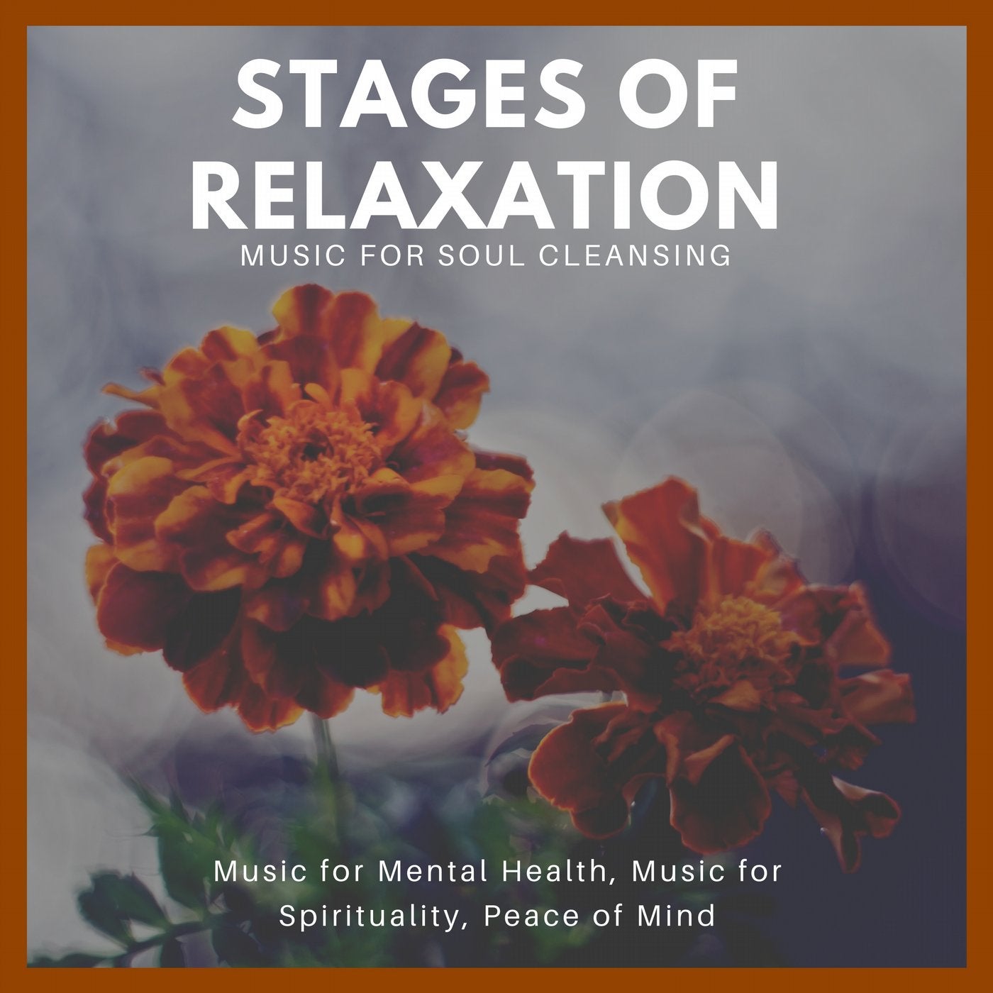 Stages Of Relaxation (Music For Soul Cleansing, Music For Mental Health, Music For Spirituality, Peace Of Mind)