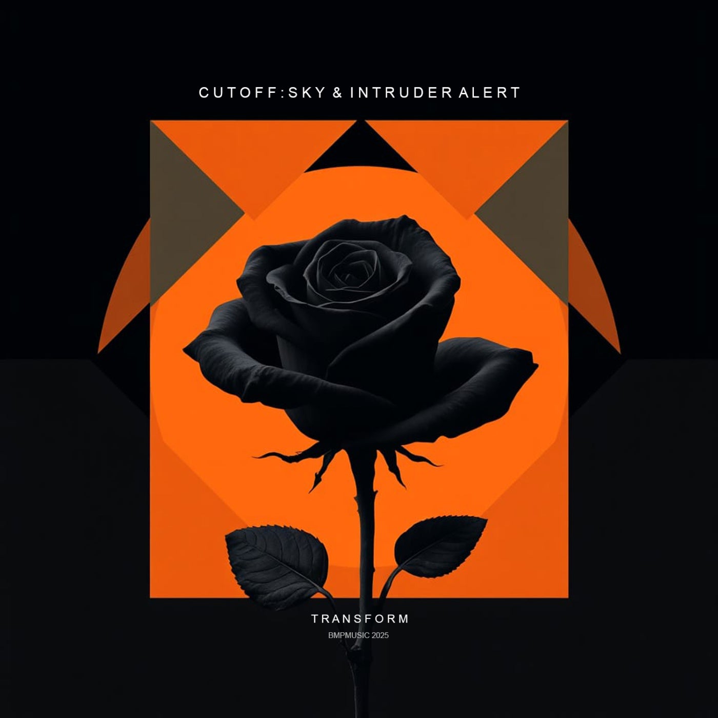 Cover art for Transform