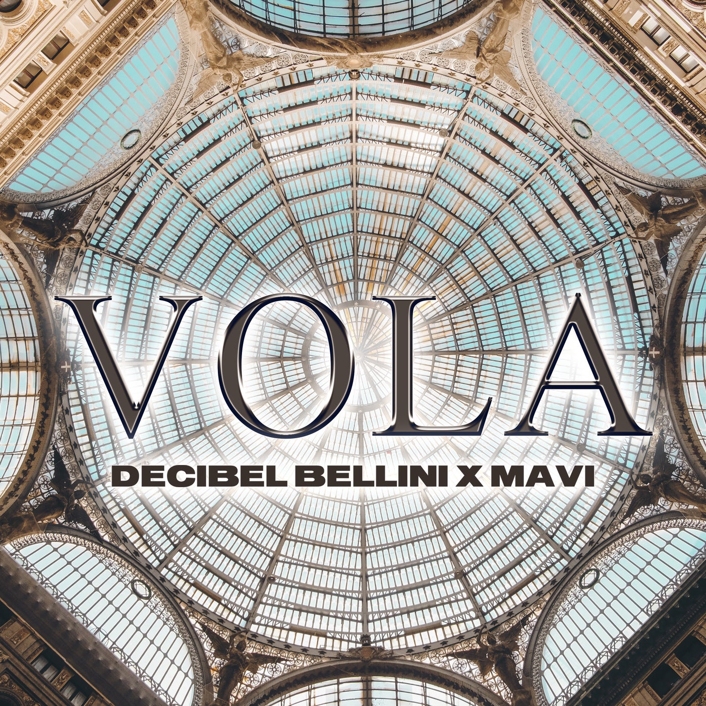 Vola
