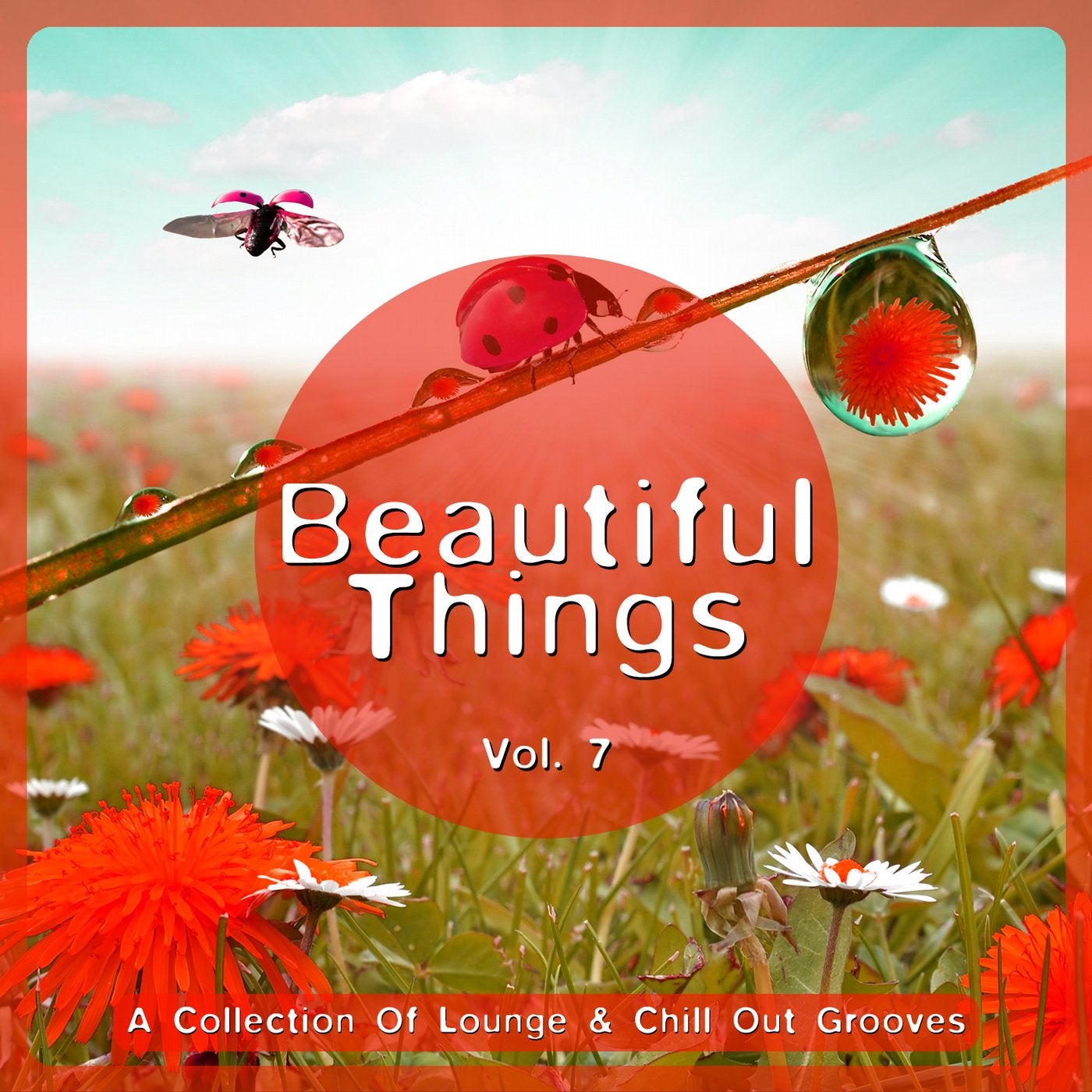 Beautiful Things Vol. 7 (A Collection Of Lounge & Chill Out Grooves)