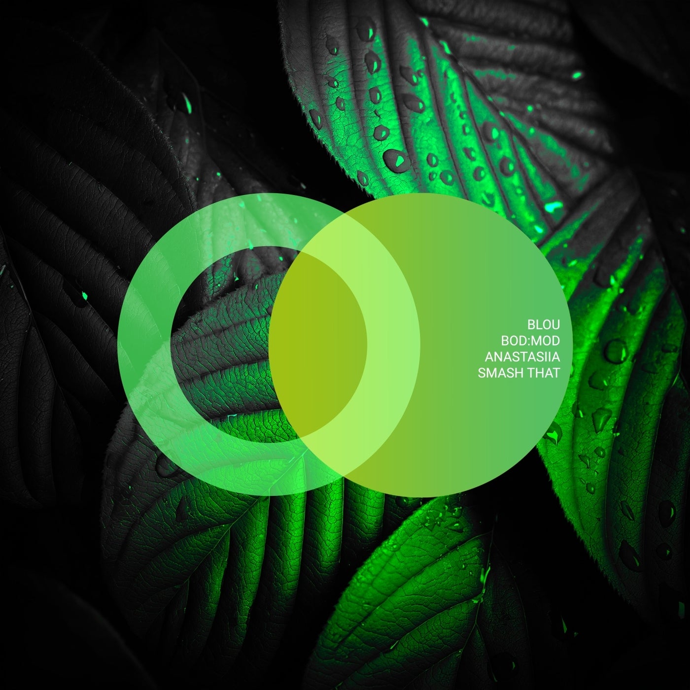 www.beatport.com