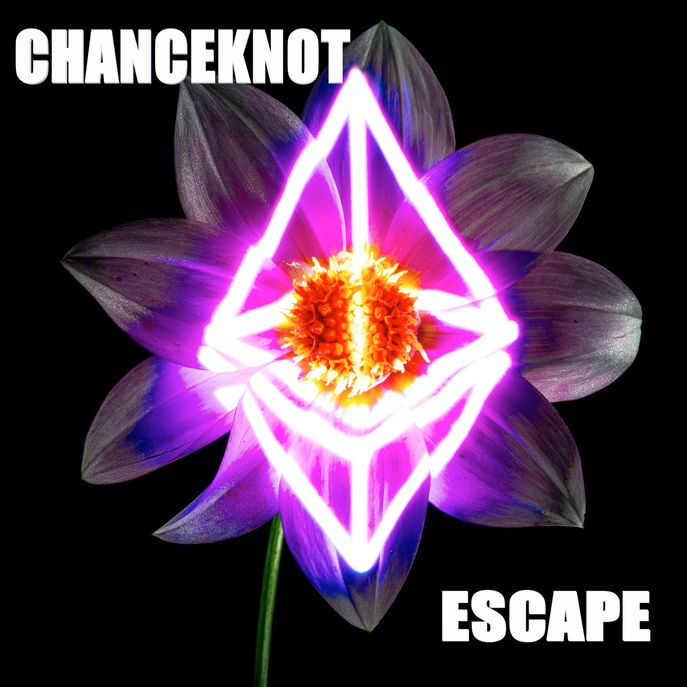 Escape